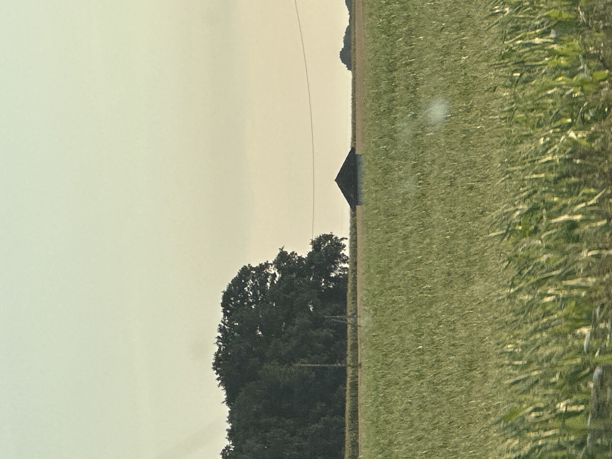 The image shows a rural landscape with a field of green crops in the foreground and a treeline with a small structure in the background. The sky is a pale yellow, suggesting either sunrise or sunset. The environment appears to be an agricultural area, possibly in the vicinity of Bolleville, France. The scene is serene and natural, with no signs of human activity or urban elements.