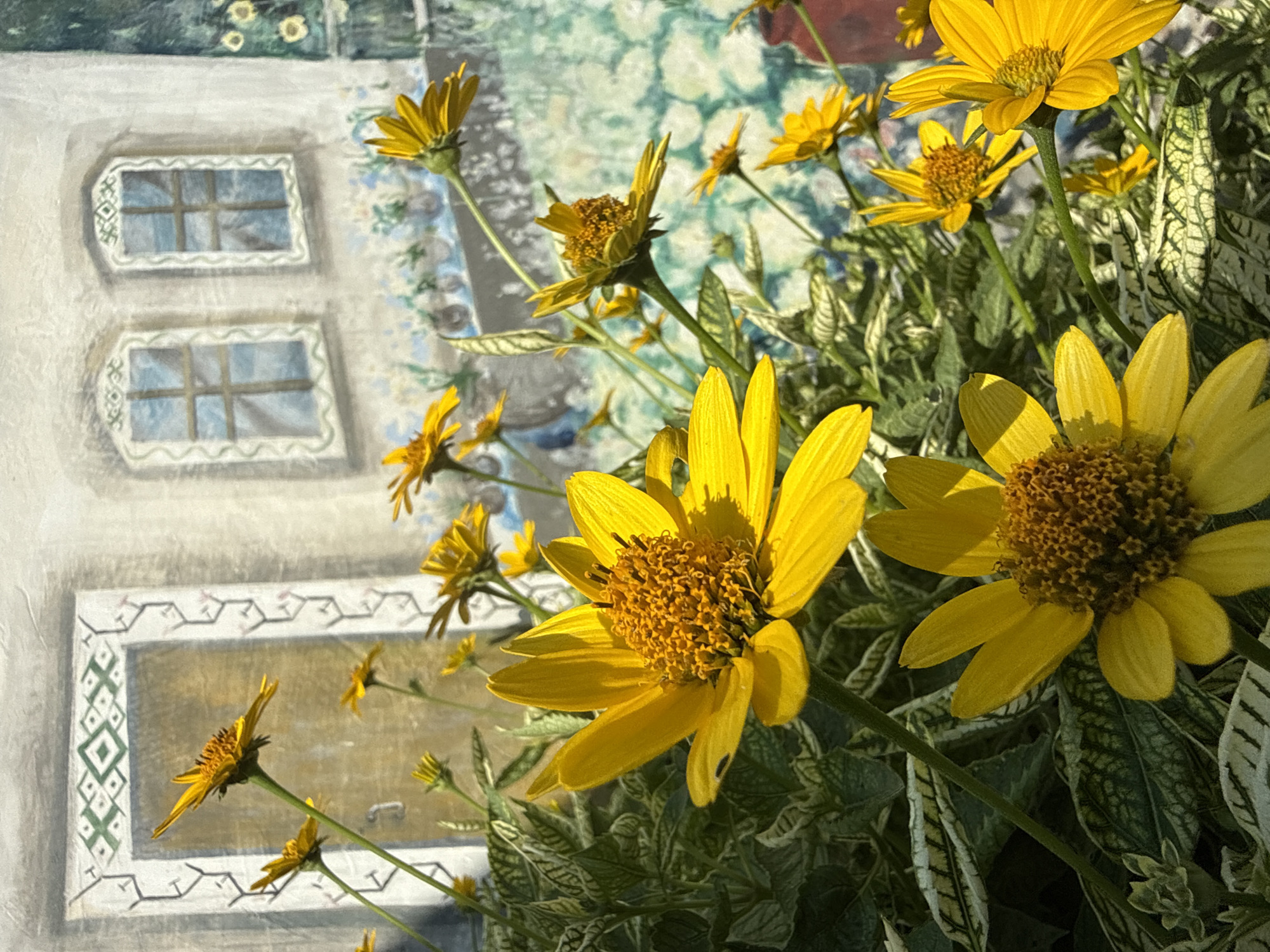 The image is a close-up, vertical, outdoor photograph of a cluster of yellow wildflowers in full bloom. The flowers are the primary subject, with large, bright yellow petals and dark brown centers. They are shown in various stages of opening and are interspersed with green foliage, some of which has white variegation. In the background, there is a painted mural of a building with a door and two windows, giving the impression of a quaint cottage or house. The mural has a decorative border around the door and windows. The lighting suggests a sunny day, with shadows cast on the flowers and foliage. The setting appears to be a garden or yard, with the mural serving as a backdrop. The photograph is taken from a low angle, emphasizing the height and abundance of the flowers. There are no people or animals visible in the image.