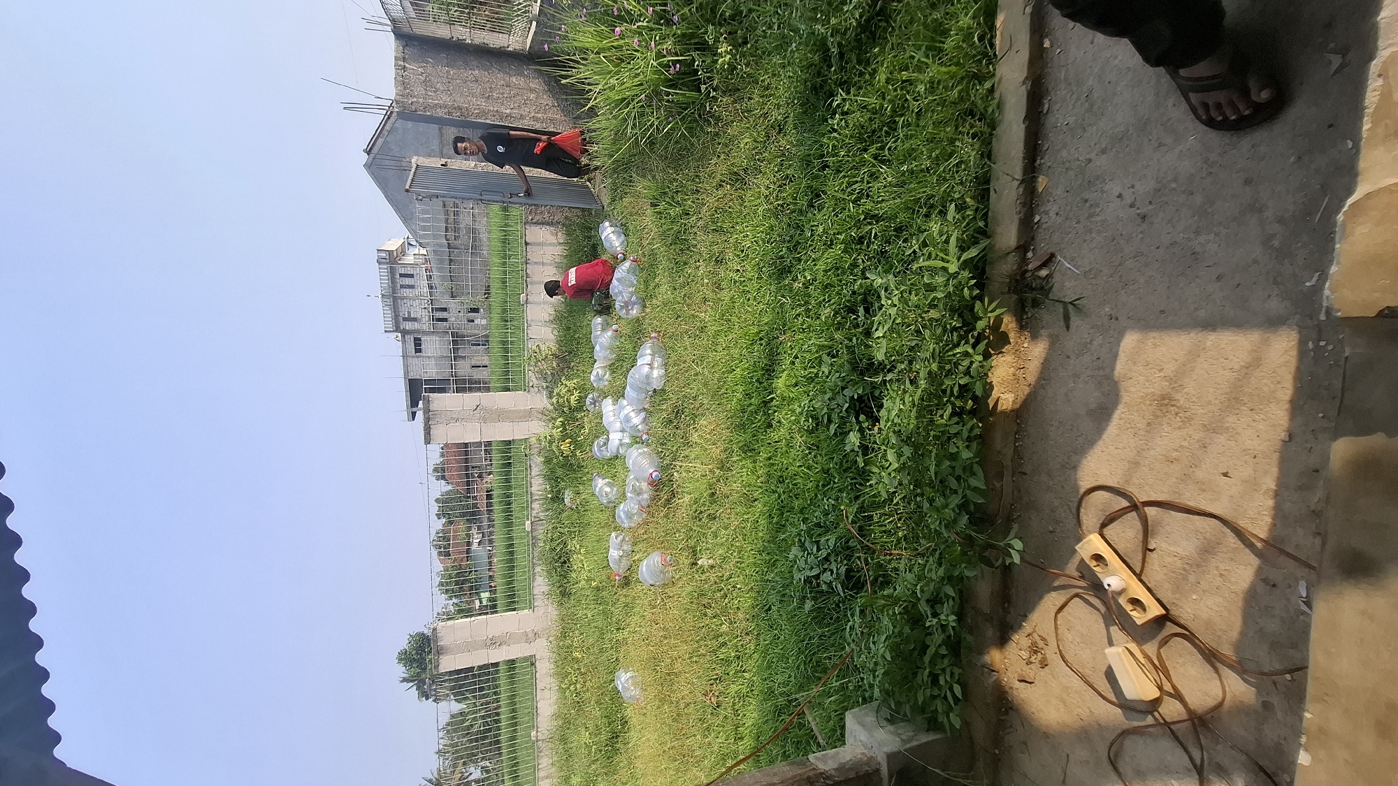 In Rahong, Indonesia, on a sunny day, a person in a red shirt is kneeling in a grassy area filled with numerous empty plastic water bottles. Another person, wearing a black t-shirt, stands near an open gate, holding a red plastic bag. Behind them, a partially constructed building and other houses are visible. The scene is framed by a fence and a concrete wall. In the foreground, on the concrete ground, lies an electrical extension cord with a power strip and plug. The overall environment appears to be an outdoor residential or construction area.