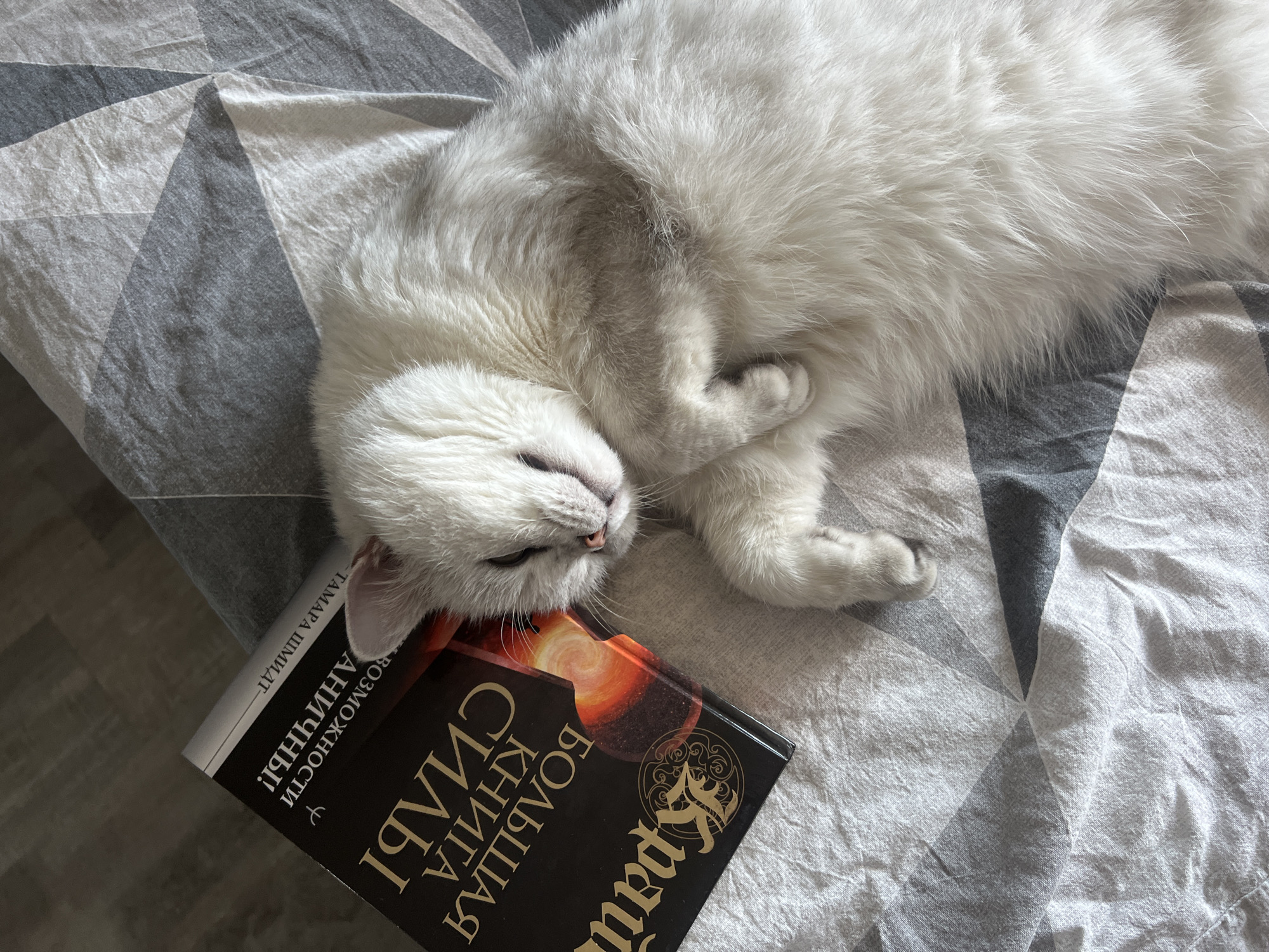 A white cat sleeps on a bed with a gray and white patterned sheet, resting its head on a book. The book has a black cover with an image of a celestial body and text in a non-English language. The scene is indoors, likely in a residential setting.