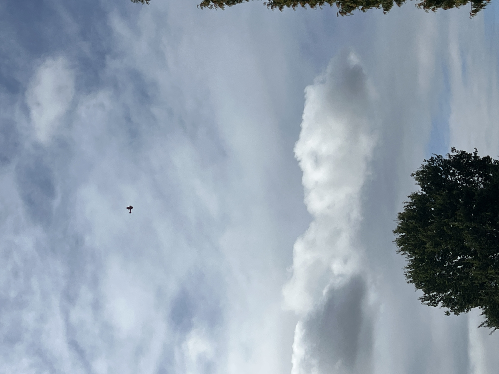 A small, red propeller plane is visible in the sky above Schwarme, Germany. The plane is flying in the upper portion of the frame. The sky is filled with clouds, some of which are bright white and others are darker gray. In the foreground, the tops of trees are visible. One tree on the right is a tall evergreen, and another on the left is a broad, leafy tree.