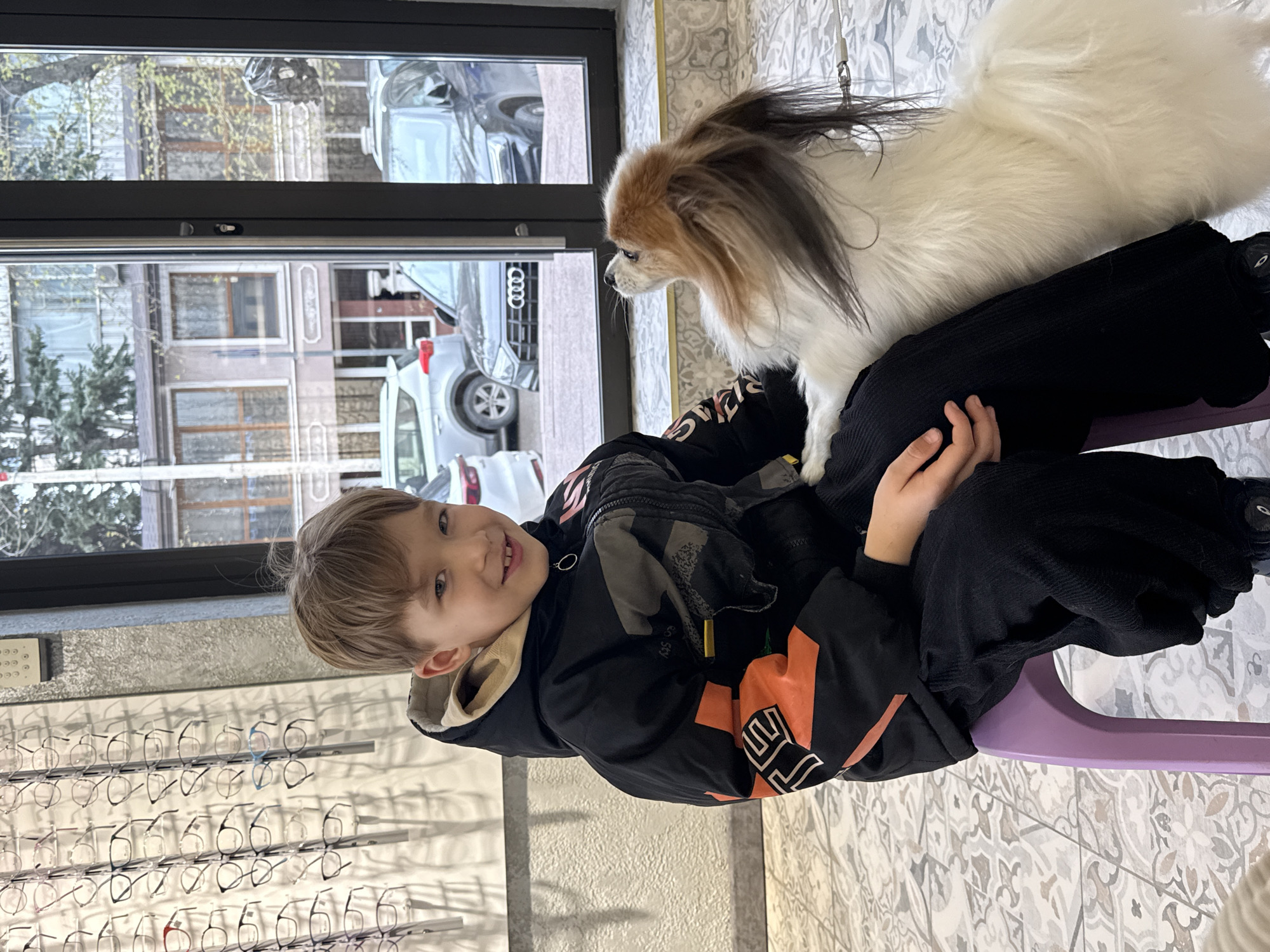 A boy is sitting on a purple chair with a white and brown Papillon dog sitting on his lap. The boy is wearing a black jacket with orange accents. A wall of eyeglasses is to the left. Through a window, the reflection of a building and parked cars can be seen. The location is possibly an optician's shop, but the scene does not confirm it is located in the city of Ovoshchnoy, Russia.
