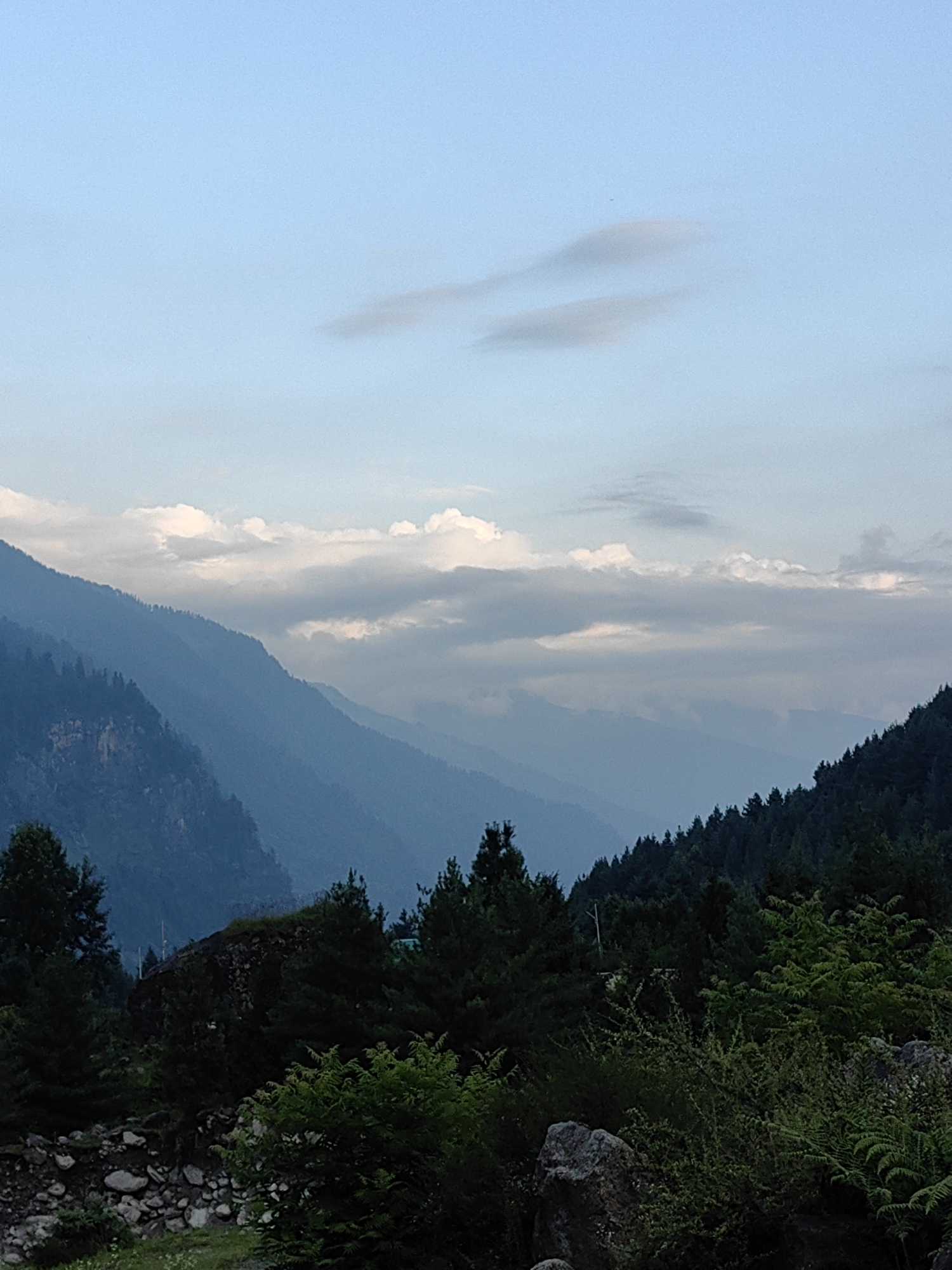 A scenic view captures a mountainous landscape in Solang, India, under a partly cloudy sky. The image is dominated by layers of misty blue mountains receding into the distance, with the closest mountain slopes covered in dense evergreen trees. In the foreground, a variety of green foliage and large rocks are visible, with a stone wall partially constructed from various sized rocks. The lighting suggests it is late afternoon or early evening.