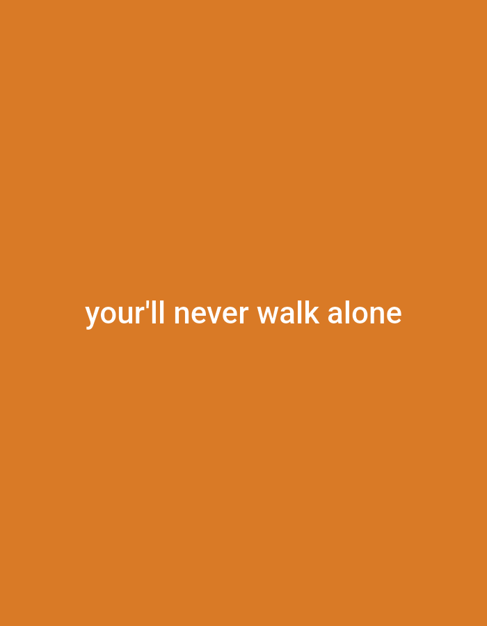 The image displays the text "you'll never walk alone" in white, centered on a solid orange background. There are no discernible people, subjects, objects, actions, or interactions. The environment is a plain, unadorned digital or printed surface. This image is not located in Palangka Raya, Indonesia, or any other specific geographical location as it is a text-based graphic.