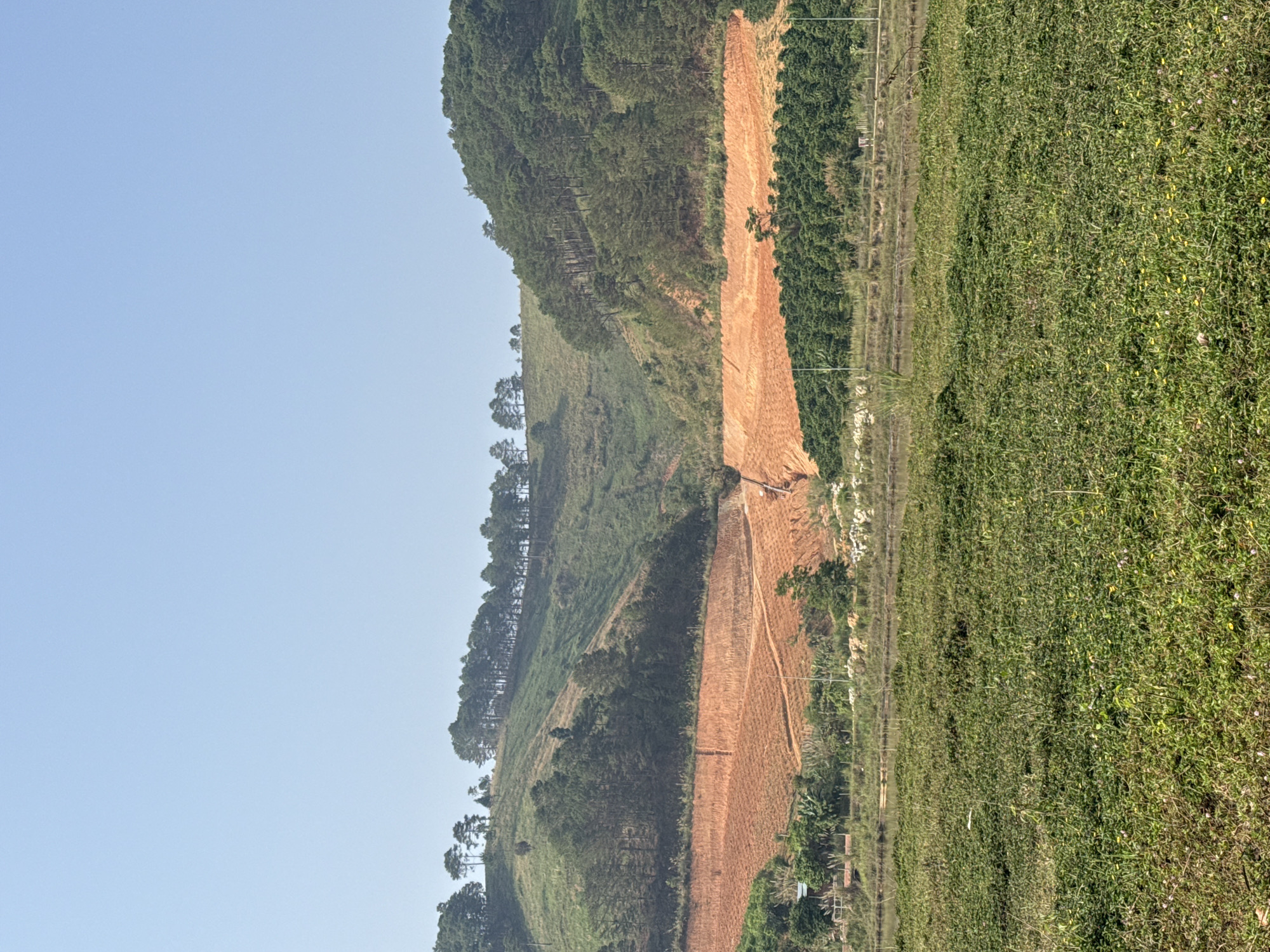 The image shows a landscape in Bo Y, Vietnam. A deforested red-dirt hillside is visible, likely for agricultural purposes, with some terracing. Adjacent to the hillside is a strip of dense green foliage, followed by a field of low-lying green vegetation with small yellow flowers. The sky is clear and light blue. Trees line the crest of the hill. A few structures are visible near the bottom of the hillside. Power lines and poles are also present.