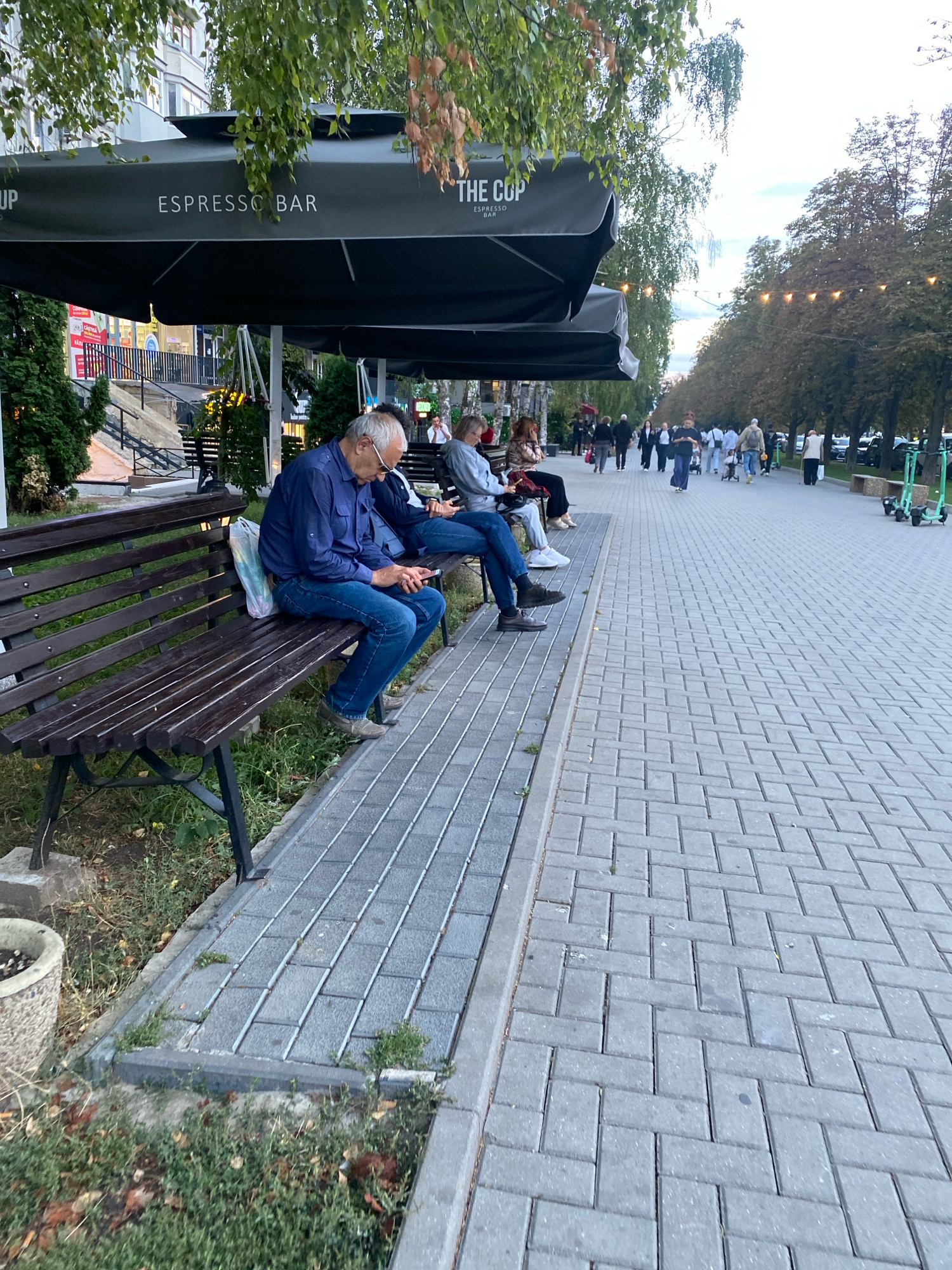 An outdoor cafe scene on a paved walkway in Chișinău, Moldova, features several individuals seated on a dark wooden bench beneath a large black awning that reads "ESPRESSO BAR." In the foreground, an elderly man with gray hair and glasses is seated on the bench, looking down at a mobile phone in his hands. He is wearing a blue long-sleeved shirt and blue jeans. Another person is partially visible to his right on the same bench. Further down the walkway, other people are seen walking and sitting, some with bags. Electric scooters are parked along the side of the walkway in the background, and string lights are visible overhead, suggesting an evening setting. Trees line the walkway, and buildings can be seen behind the cafe awning. The ground is paved with grey interlocking bricks.