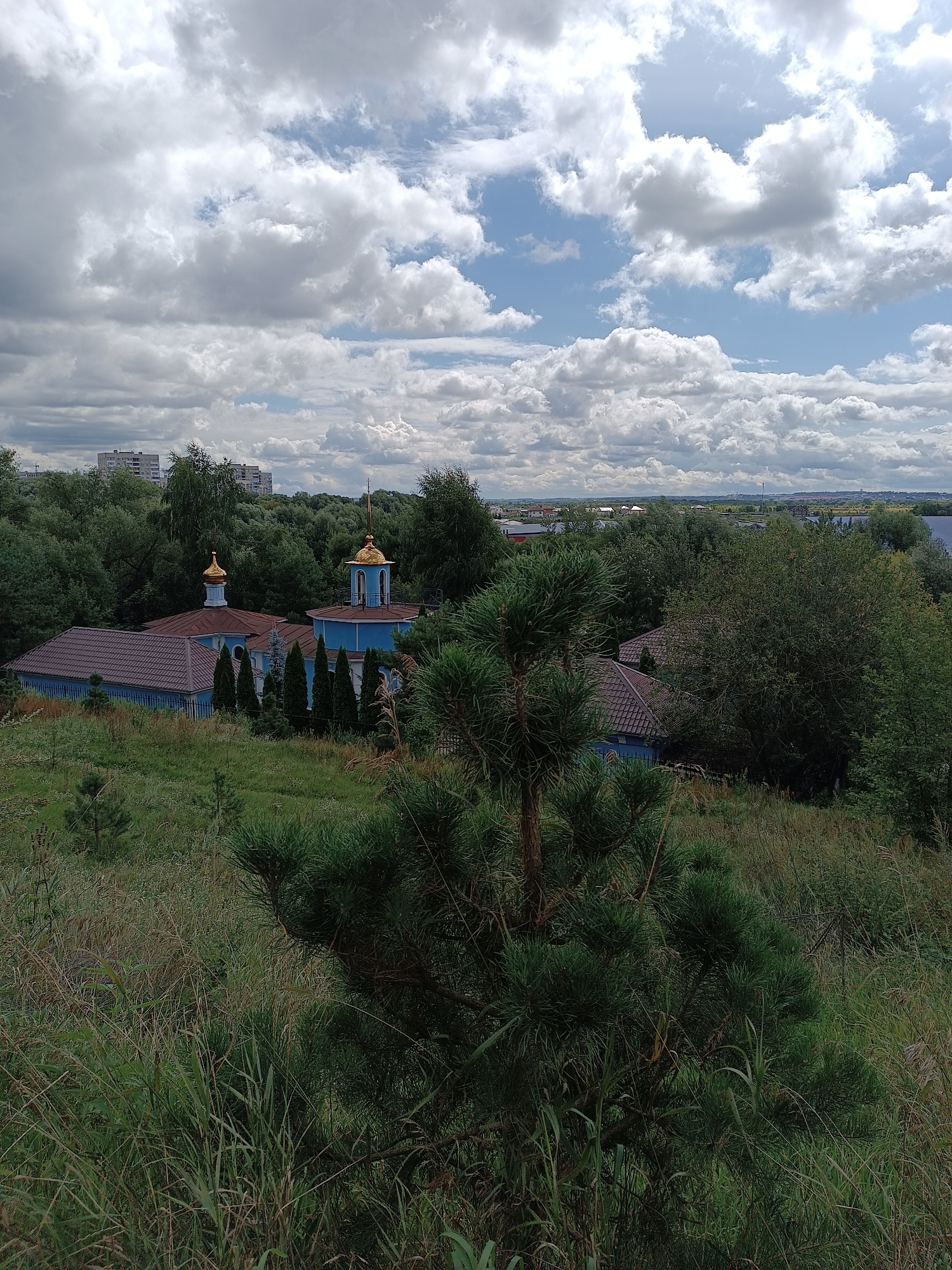 The image captures a serene, overcast day in Bykovo, Russia, with a prominent blue building topped with golden domes, likely a church, nestled amongst lush green trees. The foreground is dominated by tall, dry grasses and the dark green needles of a pine tree, suggesting a slightly wild, natural setting. In the background, a cluster of residential buildings is visible, indicating the proximity of a populated area. The sky is filled with dramatic, grey and white clouds, adding a sense of depth and atmosphere to the scene. The overall impression is one of peaceful coexistence between man-made structures and nature, under a dynamic sky.