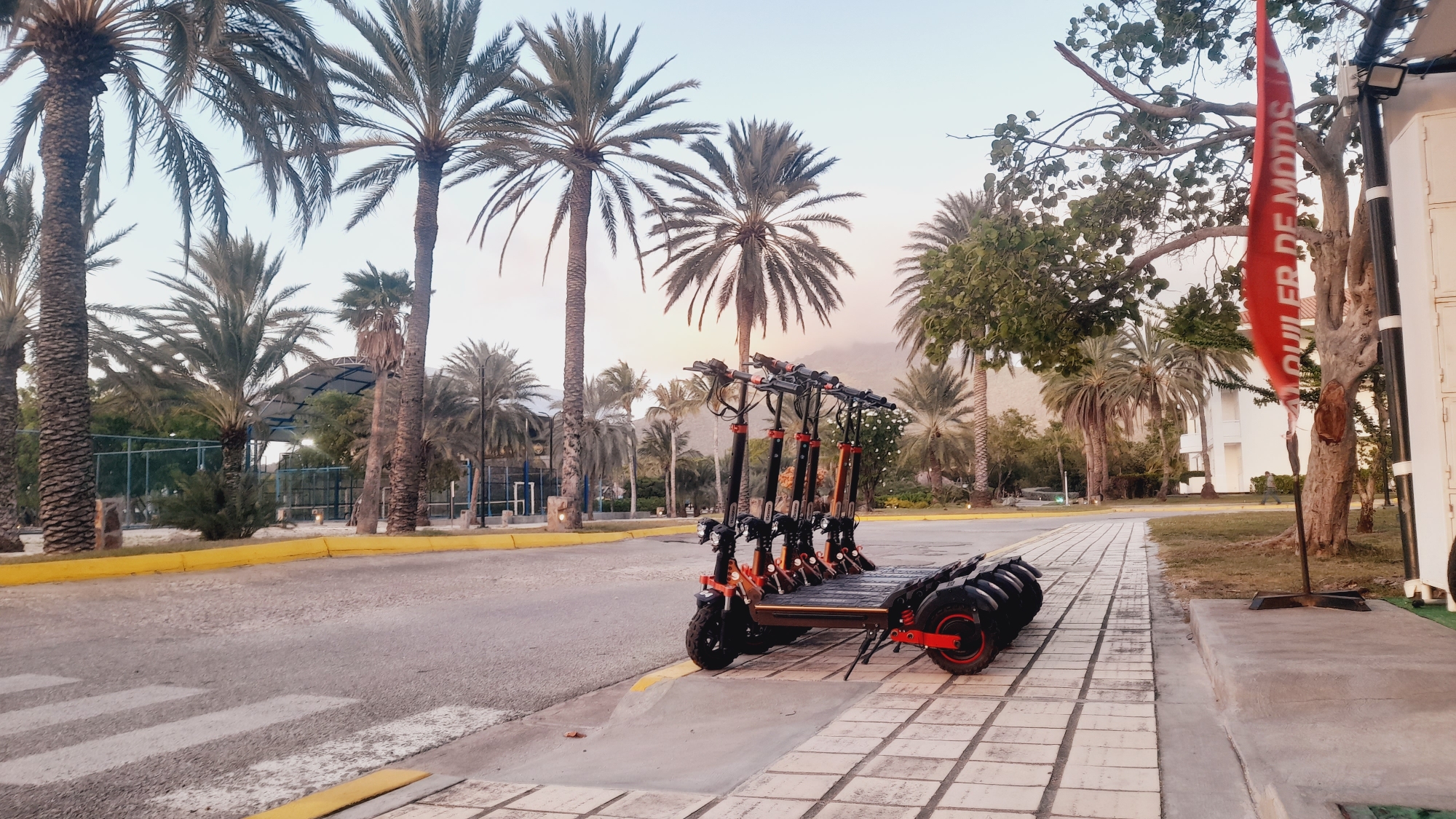 In the city of Pedro González, Venezuela, a row of electric scooters is parked on a paved walkway next to a road. The scooters are black and orange, with red accents on the wheels. They are lined up neatly, suggesting they are available for rent. In the background, palm trees dominate the landscape, with a building and a sports court visible behind them. A red flag with white text, reading "ALQUILER DE MOTOS," meaning "Motorcycle Rental," is planted in the ground near a tree. The sky is overcast, and the overall scene suggests a tropical or subtropical climate, possibly during a calm, early morning or late afternoon.