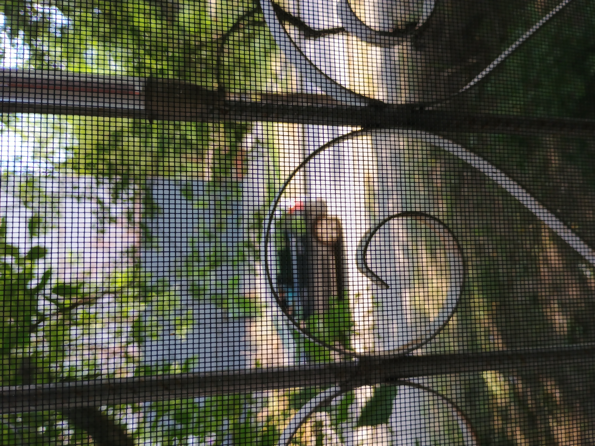 The image depicts a view through a window screen looking outward, towards a street scene. A dark-colored car is partially visible in the middle ground, driving on a paved surface. The background shows foliage and buildings, suggesting an outdoor urban or suburban environment. Decorative metalwork is visible in the foreground, obscuring parts of the view. The lighting suggests it is daytime. This scene is typical of the residential areas of Zaporizhzhia, Ukraine, where such window screens and outdoor elements are common.