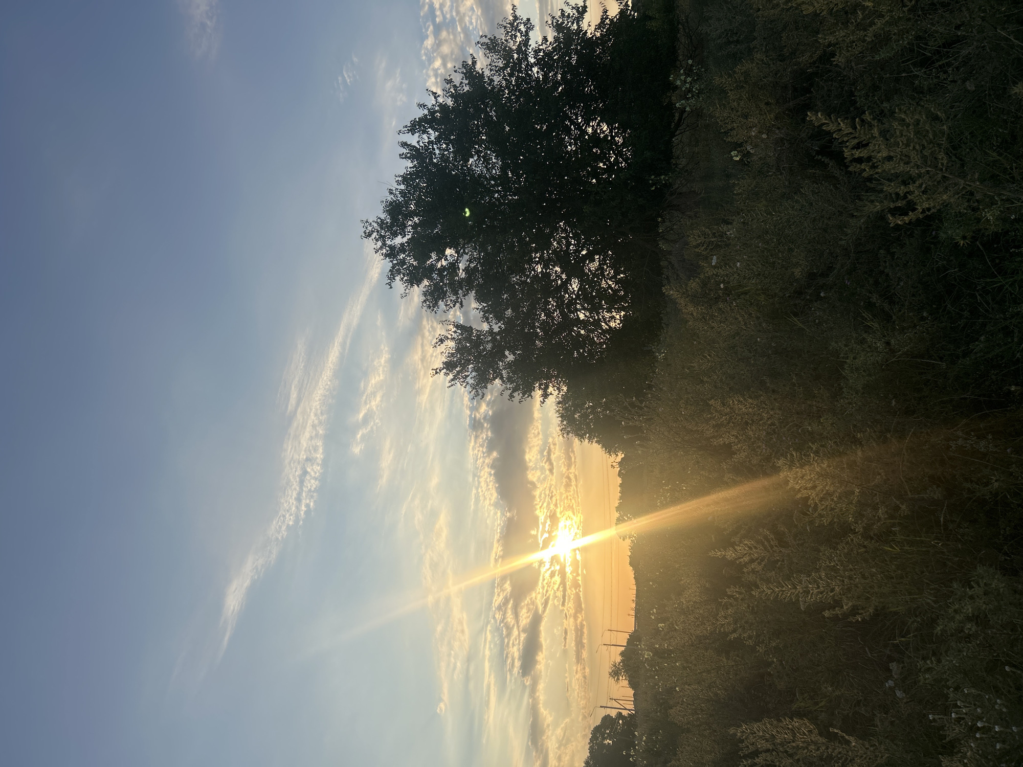 The image depicts a rural landscape at sunset, with the sun’s rays cutting through the sky. The foreground is filled with tall, dry grass and vegetation, some of which is illuminated by the setting sun. In the middle ground, a large, dark silhouette of a tree dominates the right side of the frame. Further to the left, there are power lines and utility poles. The sky is a blend of blue and orange hues, with scattered clouds. The overall atmosphere is serene and natural, suggesting a peaceful evening in the countryside. The location is specified as Dzherokay, Russia. There are no people visible in the image.