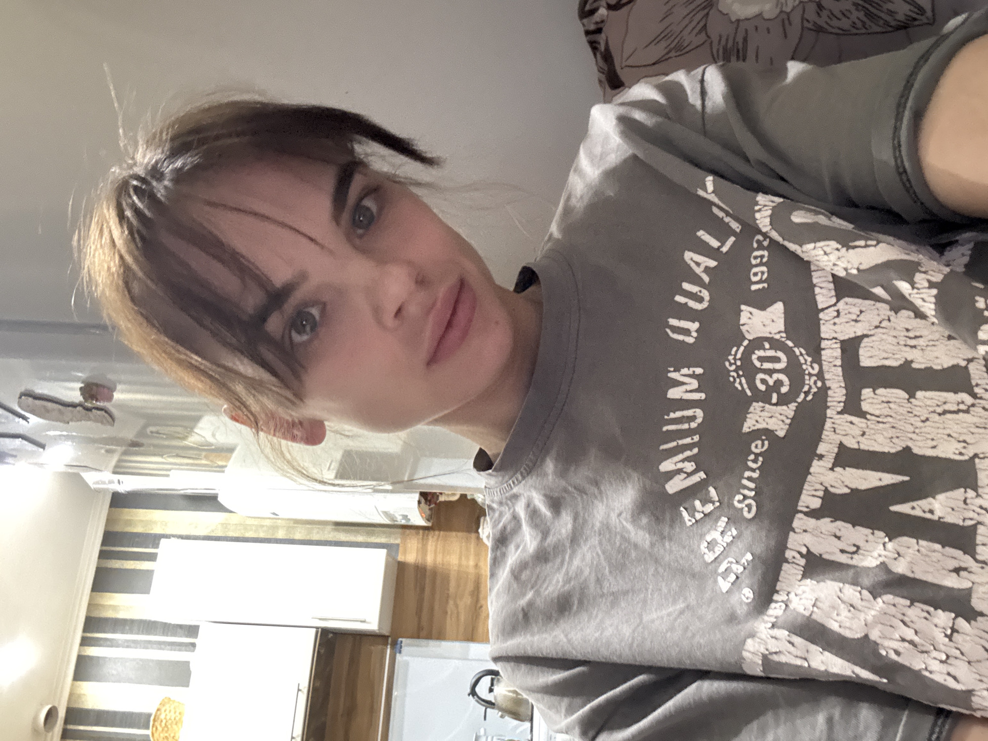 A young woman with dark brown hair and bangs is looking at the camera. She has light skin and dark eyes. She is wearing a gray t-shirt with white lettering on it. The t-shirt reads "Premium Quality Since 1992". The woman is indoors in what appears to be a kitchen. In the background, there are kitchen cabinets, a refrigerator, a sink, and a patterned wall. The photo appears to have been taken at a close range. The location is possibly Rostov-on-Don, Russia.