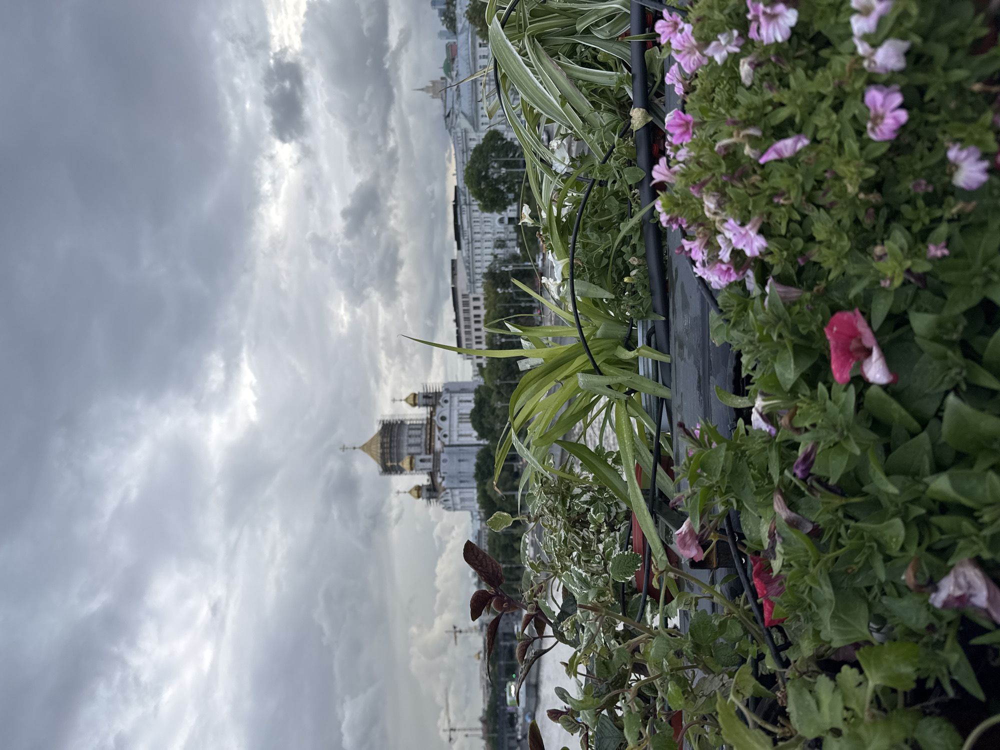 View of the Cathedral of Christ the Savior in Moscow, Russia, seen through foreground plants and flowers, under a cloudy sky.
