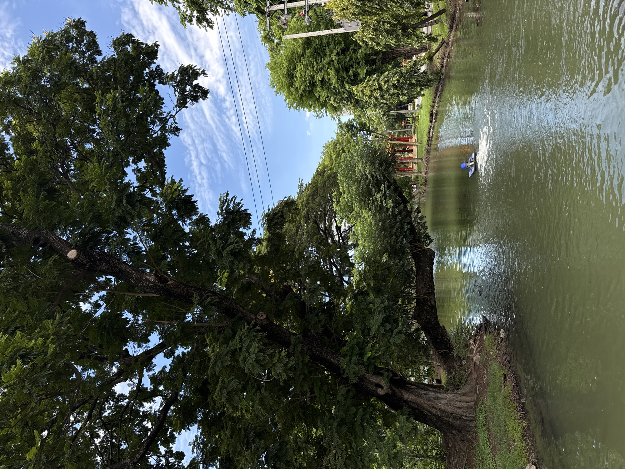 The image depicts a serene canal in Lumpini Park, Bangkok, Thailand. The canal's murky green water reflects the lush greenery surrounding it, with a large, mature tree dominating the left foreground, its branches extending over the water. In the distance, a small blue water aerator is actively churning the water, creating white foam. The background reveals a park setting with manicured lawns, more trees, and a glimpse of red structures that appear to be part of a traditional Thai pavilion. Overhead, power lines crisscross a bright blue sky dotted with wispy white clouds. The overall atmosphere is one of tranquil urban nature.