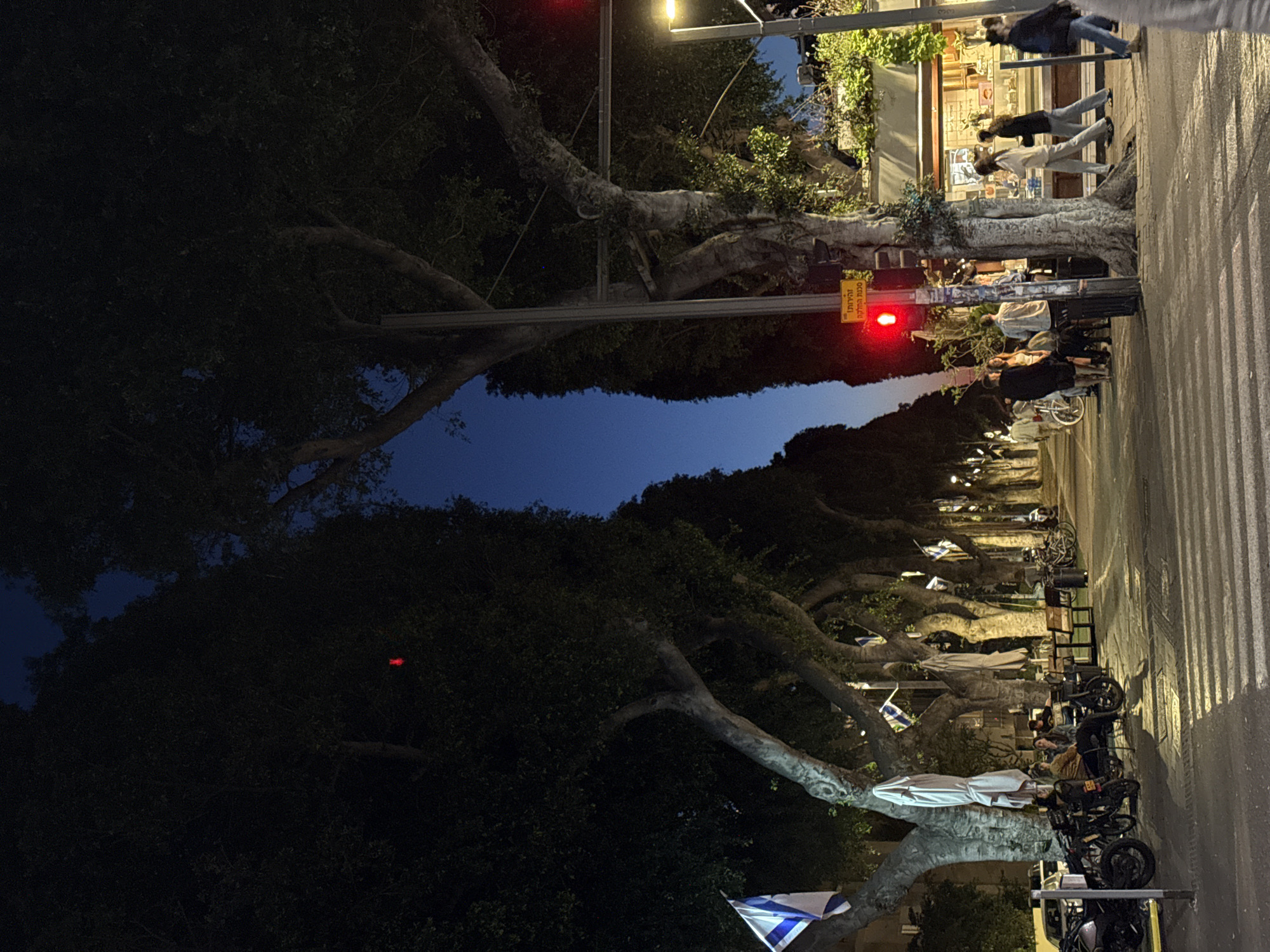 The image depicts an urban street scene at dusk or night in Tel Aviv, Israel, characterized by its artificial illumination and a prominent line of mature trees. The street stretches into the distance, with a dark blue sky visible above the tree canopies.
On the left side of the street, a row of large, old trees with thick, gnarled trunks and sprawling branches forms a natural canopy. Beneath these trees, an outdoor dining or socializing area is set up with tables, chairs, and several parked motorcycles and scooters. People are seated at these tables, enjoying the evening atmosphere. Small Israeli flags, blue and white with a Star of David, are tied to the tree branches, swaying gently.
On the right side of the street, shop storefronts are visible, emitting light that illuminates the sidewalk. Several pedestrians are walking along this pavement. In the foreground on the left, a red traffic light is prominently displayed on a pole. Below it, a vertical sign, also part of the traffic pole, features Hebrew text. The text clearly readable on the red sign is "עצור הסתכל לכל כיוון," which translates to "Stop Look all directions" or "Stop Look both ways." Above this, a less clear yellow sign with red Hebrew text is also attached to the pole. The overall scene suggests a lively yet relaxed evening in a city, with a mix of commercial activity and public gathering spaces.