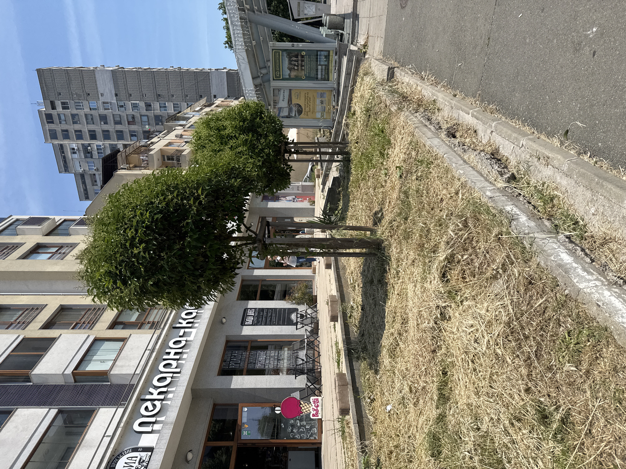 This image captures an urban street scene on a bright, sunny day in Unknown, Unknown. In the foreground, a strip of ground covered in dry, yellowed grass and some green patches runs parallel to an asphalt street. Two small, round-canopy trees with visible trunks are planted within this grassy strip. A concrete curb separates the grass from the street, which shows signs of wear and cracking.
On the left, a multi-story building with a light-colored facade features numerous windows, some with brown frames and glass enclosures. Below this, a storefront displays a large white sign with the Bulgarian text "Пекарна-ка" (Pekarna-ka), indicating a bakery or cafe. The entrance area of the bakery includes outdoor seating with four black metal chairs and two small tables. A large, pink ice cream cone-shaped sign with "Pozetti" written on it stands near the entrance. Display boards with menu items, including "Обяд днес" (Lunch today), are visible through the windows. A person, possibly a woman in a light top and blue jeans, is partially visible standing near the bakery's rightmost door.
Further down the street to the right, a modern-looking bus stop shelter with a curved, metallic roof and transparent panels is visible. It features two large advertising posters; one shows a lake and text related to "Бургас" (Burgas), and the other depicts people in a natural setting. In the background, a tall, grey brutalist-style high-rise building dominates the skyline, characterized by its grid of small windows and textured concrete panels. Other intermediate buildings of varying architectural styles are also visible between the foreground structures and the high-rise. The sky above is clear blue.