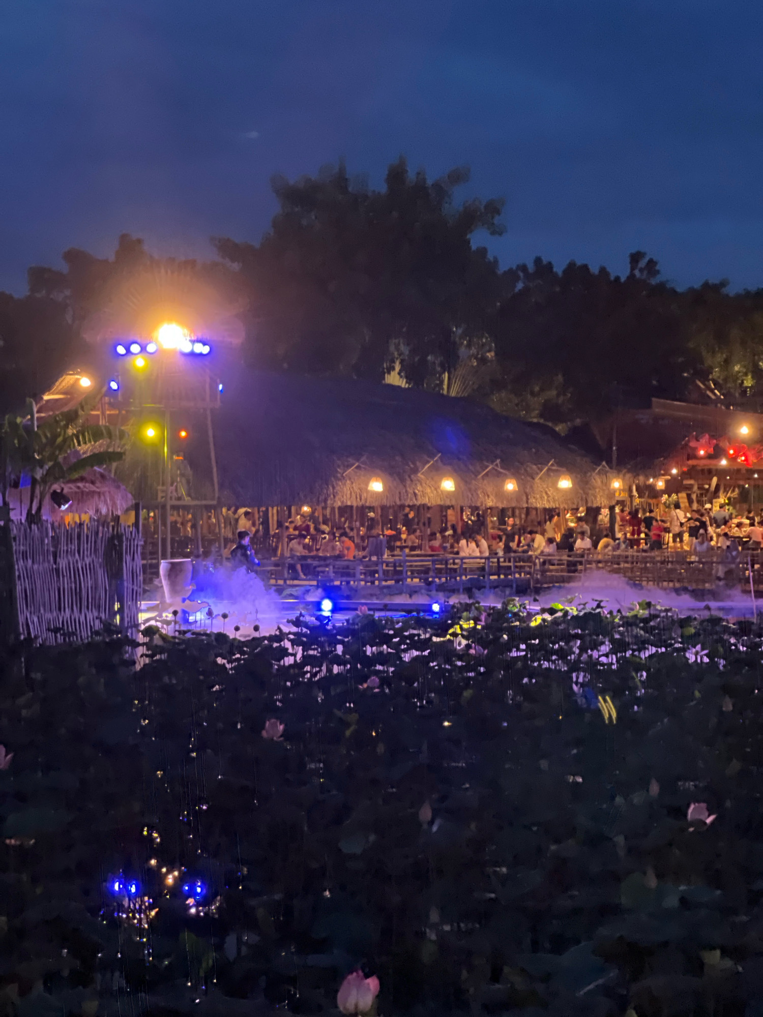 The image depicts a nighttime scene at a lotus pond restaurant or performance venue, possibly located in or near Nha Trang, Vietnam, given the architectural style of the thatched roofs and the presence of lotus flowers. The foreground is dominated by the dark expanse of a lotus pond, with numerous dark green lily pads and some visible pink lotus blossoms. In the middle ground, a raised wooden platform with thatched roofs serves as a dining or seating area, with many people seated and conversing. A stage or performance area is situated in front of this platform, with theatrical lighting casting blue and yellow hues onto the scene. A large cylindrical vase or pot is visible on this stage, along with a performer in the mist. The background features trees silhouetted against a dark blue twilight sky. The overall atmosphere is festive and illuminated by artificial lights, creating a vibrant ambiance.