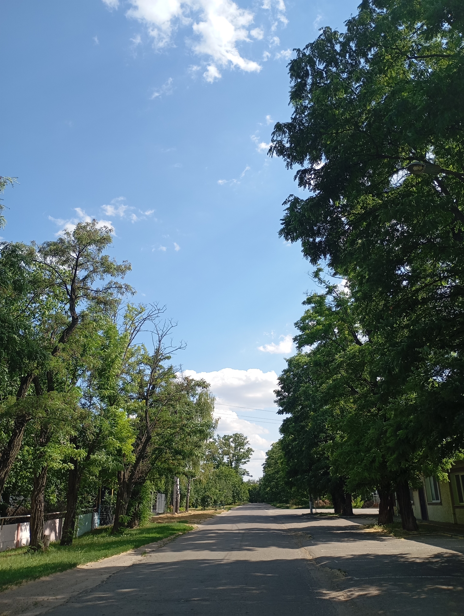 The image depicts a rural road in Sozonivka, Ukraine, lined with mature trees on both sides. The sky is clear blue with scattered white clouds. On the left side of the road, a low fence with varying colors runs along a grassy area, behind which are trees and a glimpse of a building. On the right side, a row of dense, leafy trees shades the road, and the side of a building with a window is visible at the edge of the frame. The road itself is paved and appears to be a two-lane street with parking spaces marked by white lines. Sunlight casts shadows from the trees onto the road surface. No people are visible in the image. The scene suggests a quiet, tree-lined street on a sunny day in a Ukrainian village.