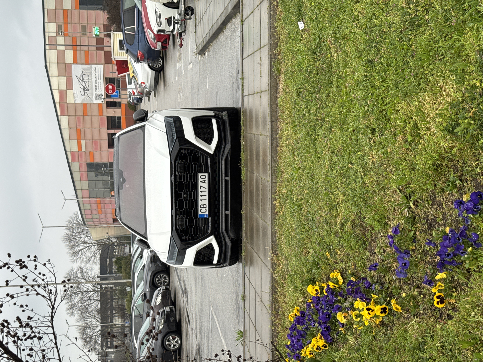 The image captures a rainy day in Plovdiv, Bulgaria. A white Audi SUV with license plate CB 1117 AO is parked along a sidewalk next to a grassy area adorned with yellow and purple pansies. The car is parked on a gray paved surface, likely a parking lot. In the background, there is a large building with a checkered facade in muted orange and pink hues, and a billboard for "Staleks" is visible. Multiple cars are parked in a row behind the Audi. Bare trees are seen framing the scene on the left side. The lighting suggests overcast conditions, indicative of the rainy weather.