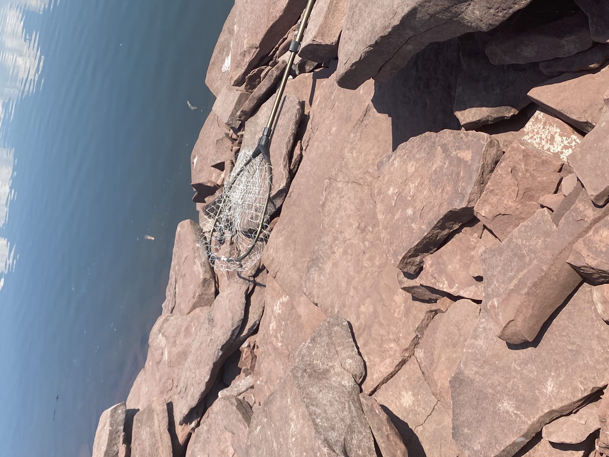 A fishing net rests on large, reddish-brown, flat rocks near the edge of a body of calm blue water. The water reflects the sky and clouds. Several small, dark shapes, possibly fish, are visible in the water. The rocks are unevenly shaped and piled together, creating a natural, somewhat rugged shoreline. The scene is lit by bright sunlight, casting shadows on the rocks. The location is identified as Ust'-Erba, Russia.