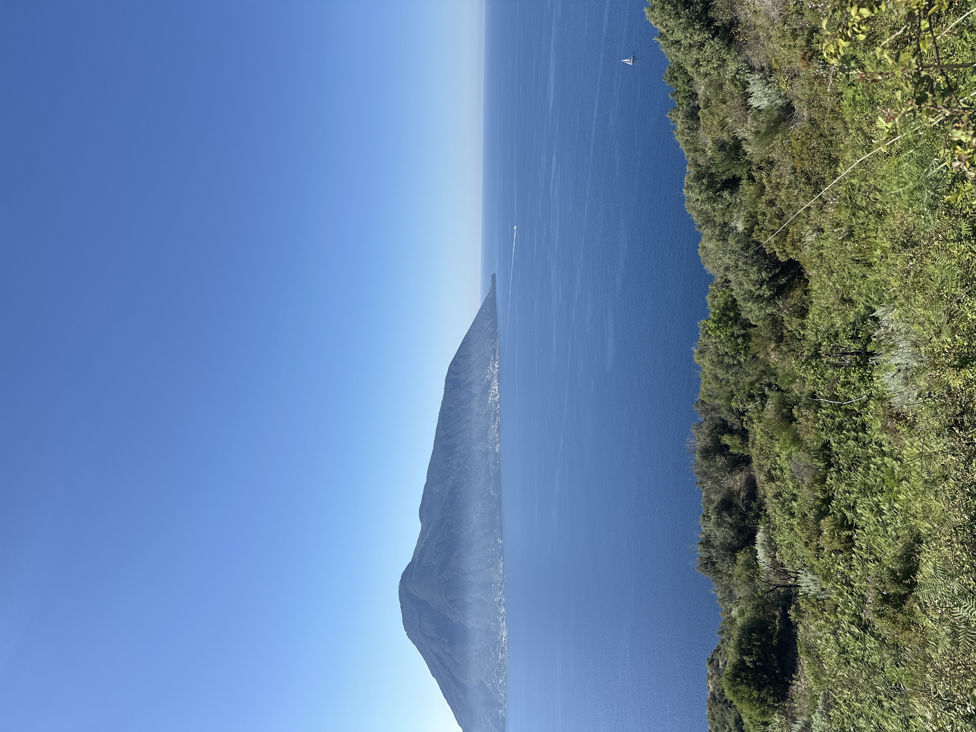 The image, when correctly oriented, presents a panoramic view of a clear blue sky, a vast expanse of deep blue sea, and a distant landmass, with lush green vegetation framing the foreground.
In the upper portion of the frame, the sky is a uniform, bright blue, fading slightly to a lighter hue towards the horizon line. Below the sky, the calm, dark blue water stretches out, showing subtle ripples and variations in tone. On the horizon, a long, dark, mountainous landform, likely an island or a peninsula, extends across the middle ground. Small, scattered white specks are visible along the base of this distant land, indicating a settlement or buildings.
In the upper right portion of the water, a small white sailboat with a triangular sail is clearly visible. Further towards the center of the frame, a faint white wake suggests the presence of another small, fast-moving boat on the water, though the boat itself is indistinct.
The immediate foreground on the right side of the image is dominated by dense, vibrant green vegetation, including various trees, bushes, and ferns, growing on what appears to be a steep incline or cliff edge. This foliage creates a natural frame, overlooking the expansive sea and distant land.
The scene depicts a bright, clear day, likely late morning or early afternoon, with excellent visibility. The overall impression is one of tranquility and natural beauty. The location context of Lipari, Italy, aligns well with the visible volcanic-looking landform, deep blue waters, and Mediterranean vegetation. There is no visible text in the image.