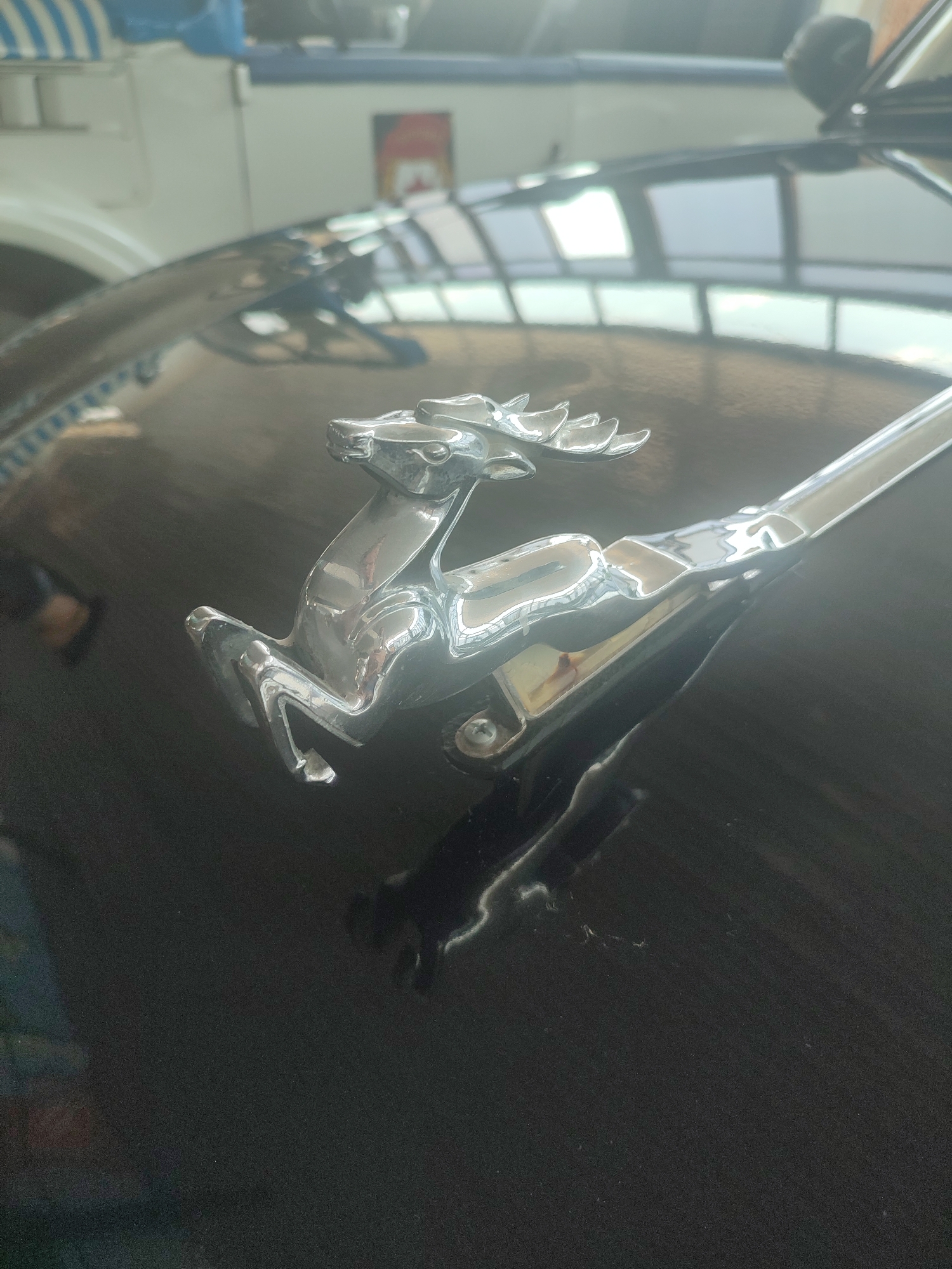 A chrome hood ornament, shaped like a leaping deer with antlers, is affixed to the dark, glossy hood of a car. The hood reflects the surrounding environment, including what appears to be a building with a striped awning and windows. The deer ornament is positioned on the right side of the image, facing left, with its front legs extended forward. The ornament is shiny and reflects light, highlighting its sculpted details. A screw is visible near the base of the ornament, attaching it to the hood. The background is blurred, suggesting a shallow depth of field, and shows reflections of windows and structures. The scene appears to be outdoors, possibly in a parking lot or garage, given the reflections of buildings and possibly other vehicles. No people are visible in the frame. The location is Qonaev, Kazakhstan.