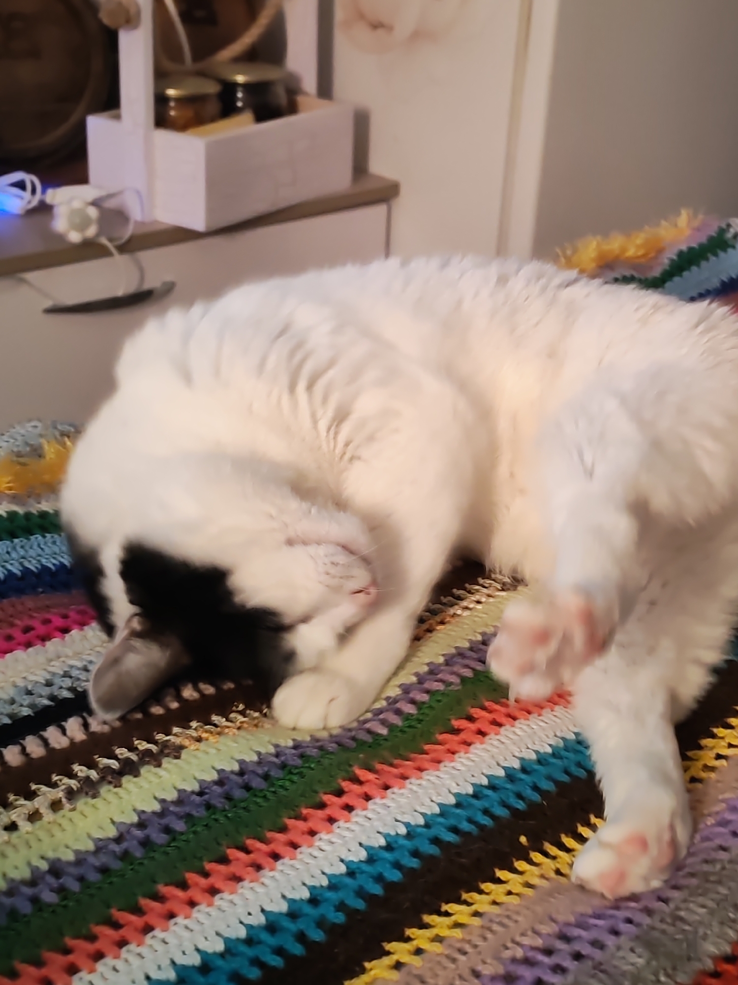 A white cat with black markings is curled up on a multicolored knitted blanket, with its paws extended. The blanket has stripes of varying colors including green, blue, purple, brown, and yellow. Behind the cat, on a surface near a wall, is a white wooden box containing jars and other items. There is a white object with a cord near the box. The image was taken indoors in a domestic setting. There is no information in the image that indicates that the photo was taken in the city of Chaikovsky, Russia.