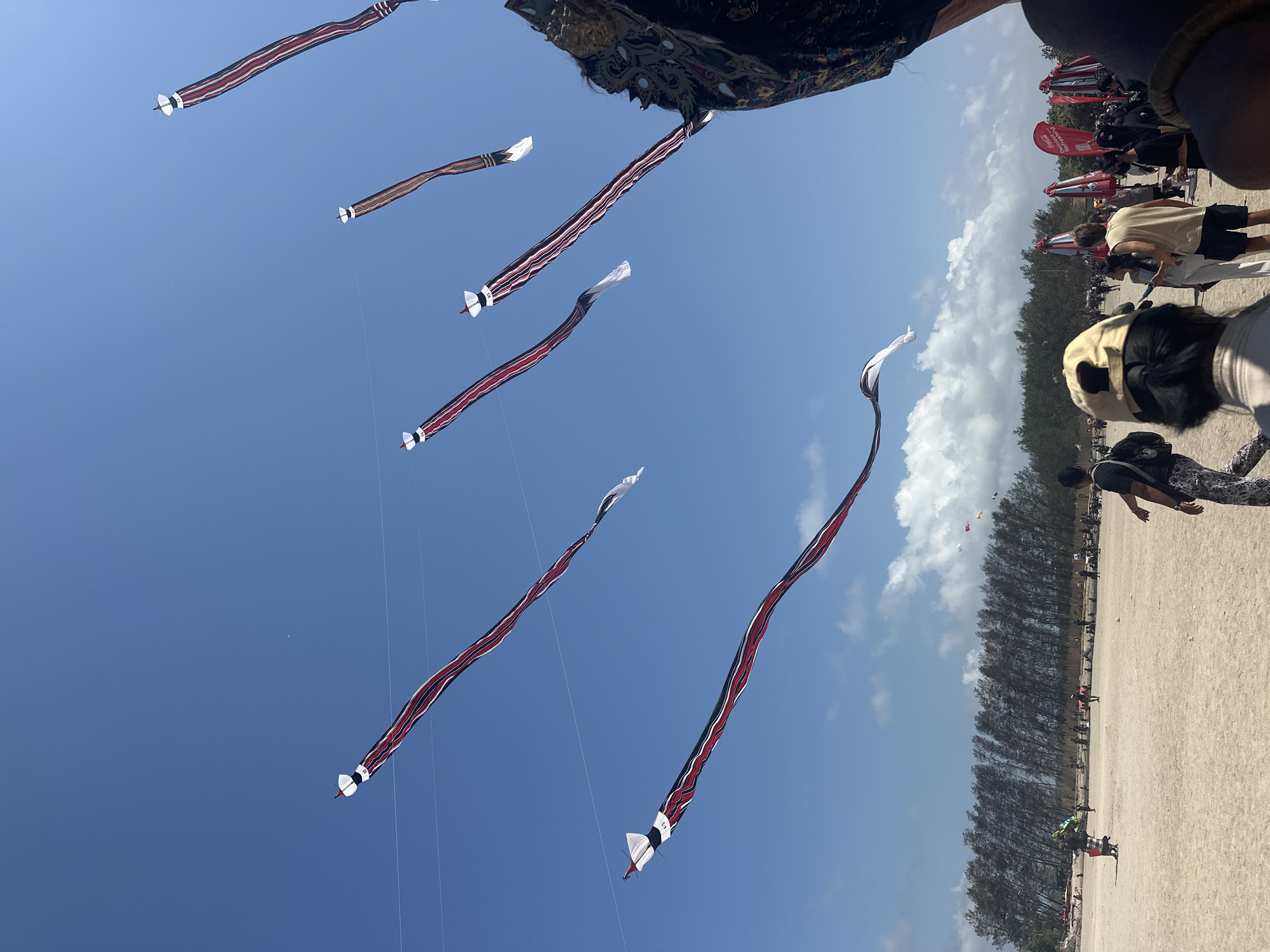 This image depicts a scene at the Sanur Beach in Denpasar, Indonesia, during a kite festival. The bright blue sky is filled with several long, serpentine kites featuring red, black, and white stripes. These kites are suspended by thin lines, creating a vibrant display against the clear sky. In the foreground, a crowd of people are gathered on the sandy beach, observing the kites. Some are looking up at the sky, while others are engaged in conversation. The beach is lined with trees, and there are several vendor tents or umbrellas further in the background, suggesting a lively event. The overall atmosphere appears festive and sunny, typical of a beach gathering.