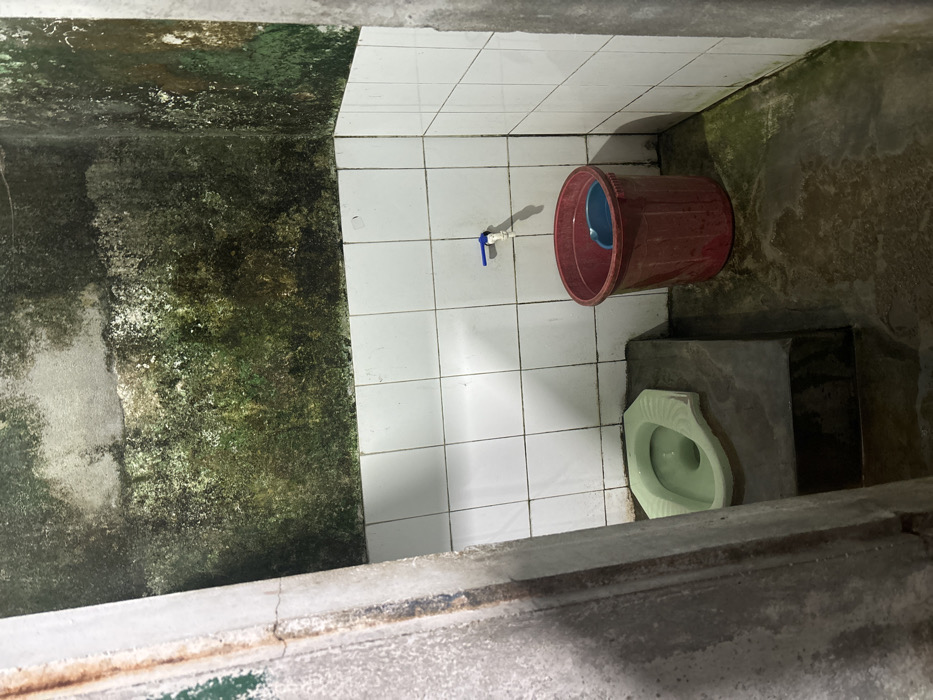 This image captures the interior of a highly unsanitary and dilapidated restroom facility within Nam Hải Lăng Commune, Vietnam. The upper sections of the concrete walls are extensively covered with a thick, dark green and black organic growth, consistent with mold or algae, suggesting chronic dampness and poor ventilation. Below this, the walls are partially tiled with small, square white ceramic tiles, their grout lines discolored and dark. The concrete floor is visibly wet, stained, and exhibits patches of similar green organic growth, particularly in the corner. In the left foreground, a light green ceramic squat toilet is set into a raised concrete platform. On the right, a simple blue-handled faucet protrudes from the tiled wall. Directly beneath the faucet, a large, dark red plastic bucket contains a smaller, light blue plastic basin. No individuals or animate subjects are present, and no actions or interactions are occurring. The environment conveys a severe lack of maintenance and hygiene.