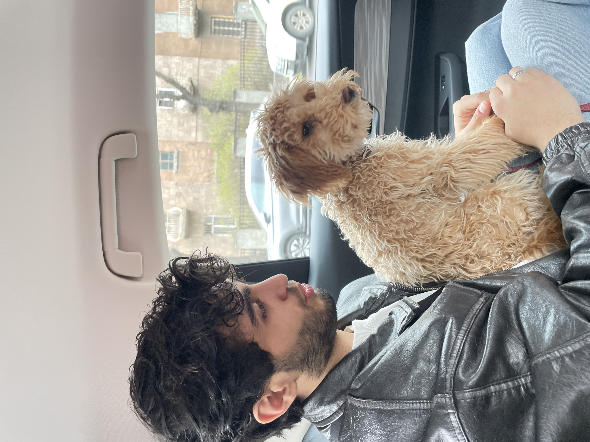 A medium-shot photograph shows a man with dark curly hair and a beard in the front seat of a car, with a tan-colored poodle sitting on his lap. The man is wearing a black leather jacket over a white shirt. The poodle is looking up and to its right. A woman's hand is visible, holding the dog. Through the car window, buildings are visible, indicating an urban setting. The location is Yerevan, Armenia. A silver car is visible outside the car window. A white handle is on the car's interior panel to the left of the man.