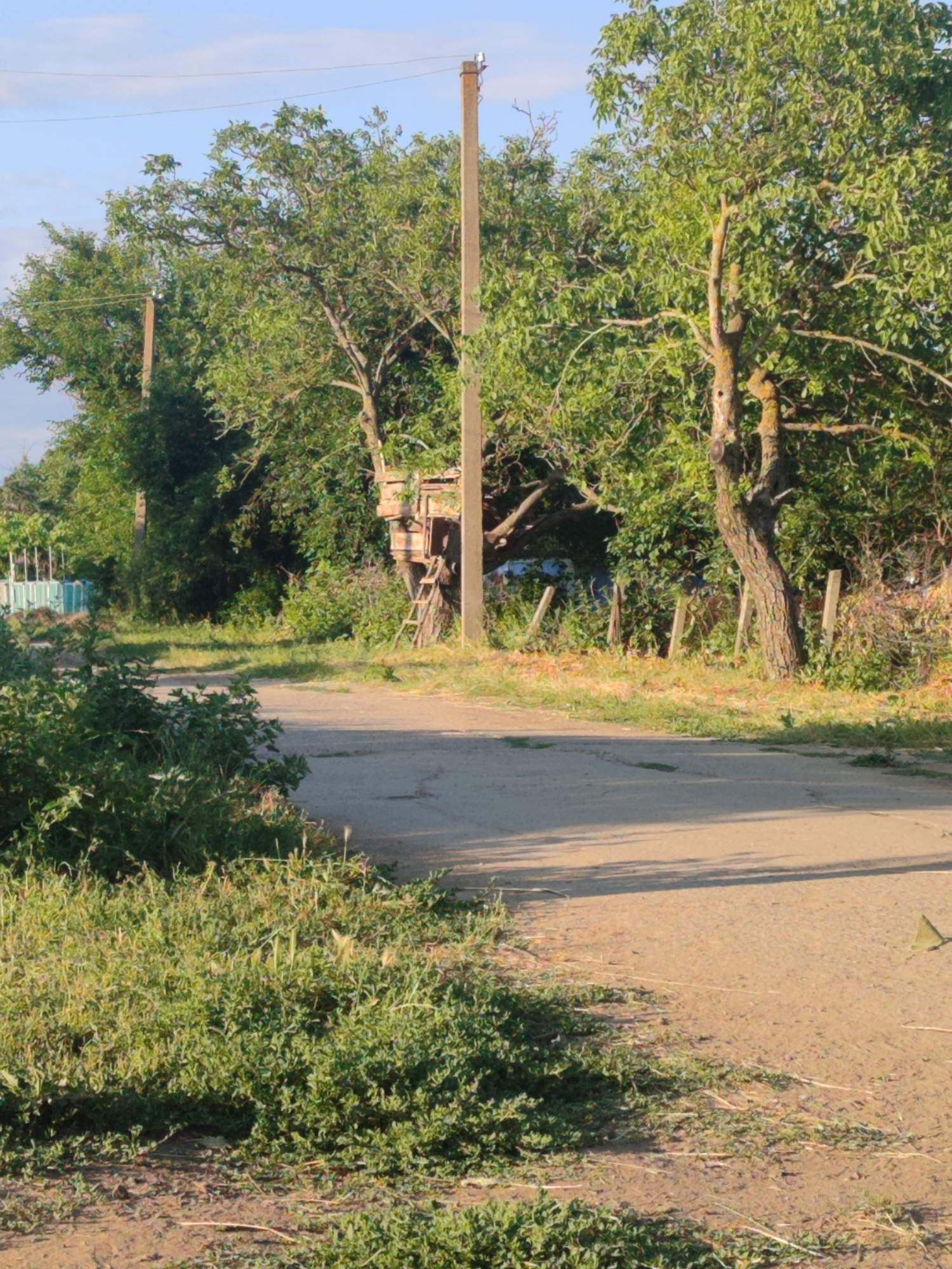 The image depicts a rural scene in Novosamarka, Ukraine, on a sunny day with a clear blue sky. A dirt road stretches into the distance, bordered by lush green foliage and trees. On the right side of the road, a wooden structure resembling a beehive is perched on a tall wooden pole, with a ladder leaning against it. The surrounding area is characterized by dense vegetation, including bushes and tall grass, with some wooden fence posts visible in the background. The overall impression is one of a peaceful, natural environment.