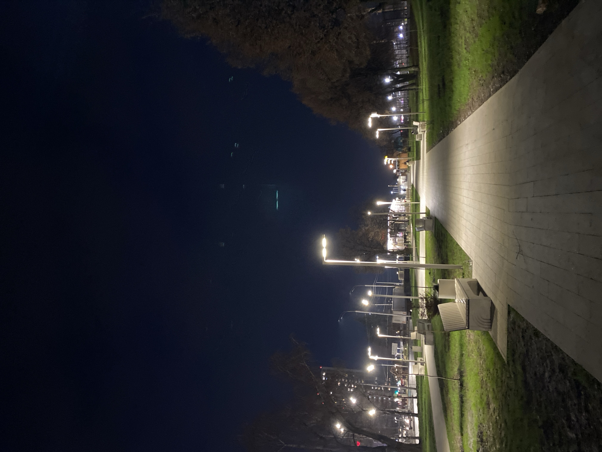 This nighttime image, captured in Ryazan, Russia, showcases a well-lit paved pathway in what appears to be a park or promenade. The dark sky dominates the upper and left portions of the frame. On the right, a broad, light-colored paved path, constructed from segmented blocks, stretches into the distance, illuminated by a series of modern streetlights. These streetlights feature tall, slender poles topped with distinctive L-shaped light fixtures, casting bright light onto the pathway and an adjacent strip of green grass.
Several contemporary white or light-grey benches are spaced along the pathway, suggesting areas for rest. To the left of the grassy verge, a line of trees with bare branches forms a dark silhouette, indicating a late autumn or winter setting. Beyond these trees and extending across the left half of the image is a vast, dark expanse, possibly a body of water or a distant unlit landscape. Within this dark area, several faint, greenish light anomalies are visible, which could be lens flares or reflections. In the far distance, scattered artificial lights from buildings or other structures can be seen.
No people or activities are visible, contributing to a tranquil and serene atmosphere. The scene captures an illuminated public space during the quiet hours of the night. There is no discernible text within the image.