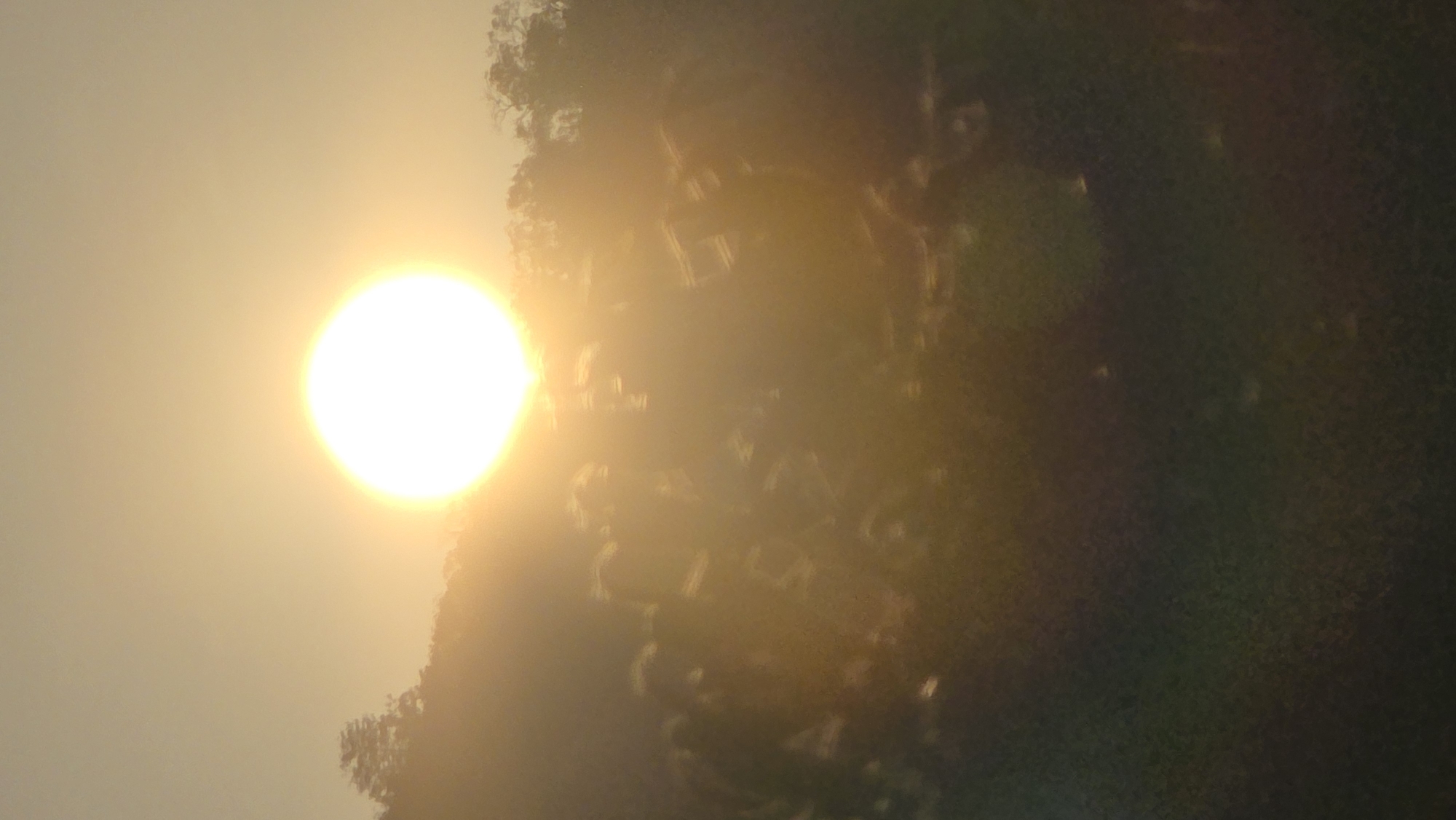 The image shows a bright sun positioned to the left of a dark mass of foliage. The sun appears to be low in the sky, possibly at sunrise or sunset. The foliage on the right is dark and obscures much of the background. The setting is the city of Bac Natural Heritage Area Trang, Vietnam.