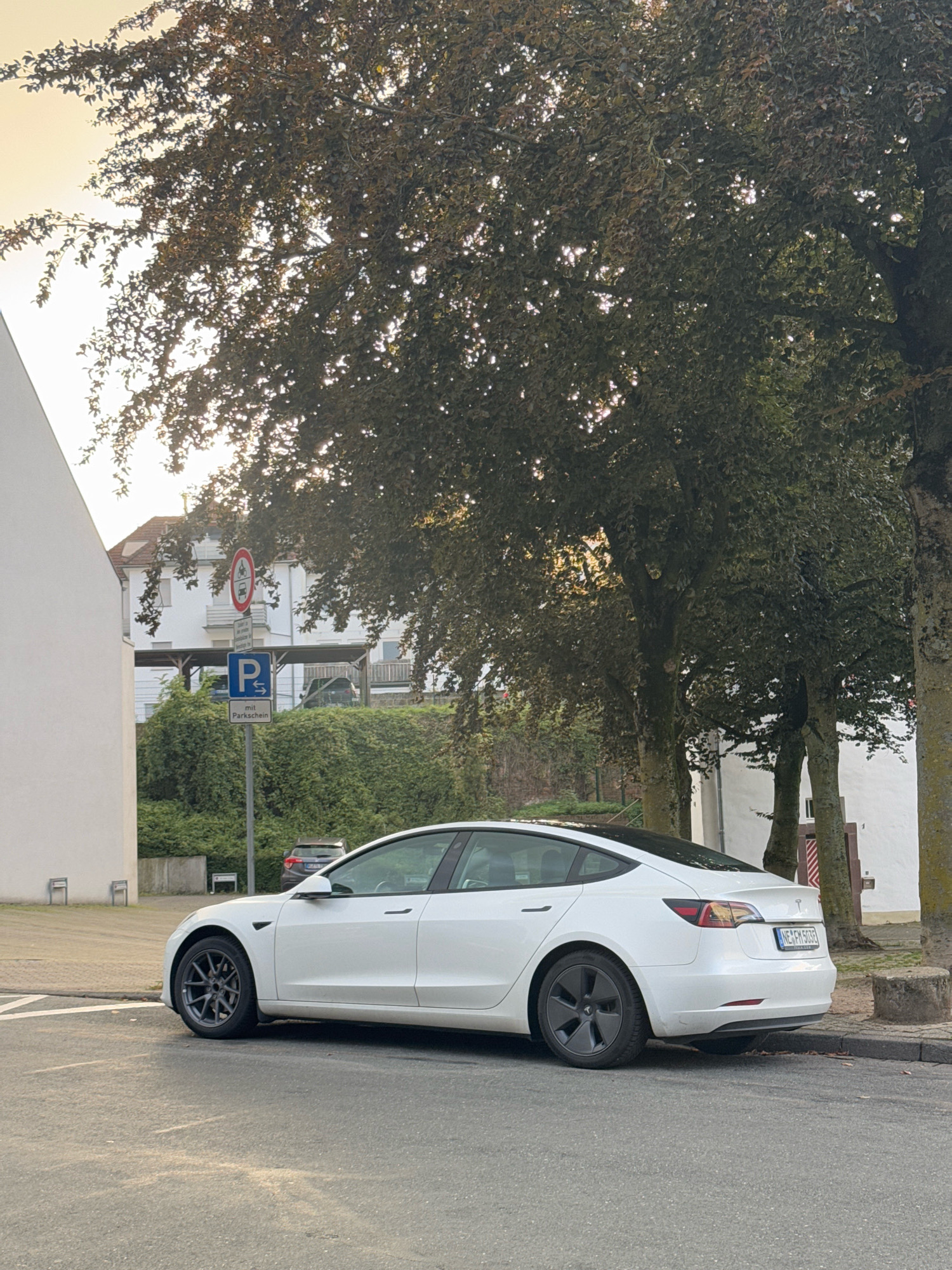 A white Tesla Model 3 is parked on a paved street in Cleves, Germany. The car is facing left in the frame, with its rear end towards the viewer. The vehicle is positioned next to a curb with a sidewalk and a concrete planter. Behind the car, there is dense foliage from trees, a white building with a pitched roof, and a parking sign indicating "P mit Parkschein" (Parking with ticket). The sky is overcast with a pale yellow hue, suggesting either dawn or dusk. The overall environment appears to be a residential or commercial area of the city, with a quiet and still atmosphere.