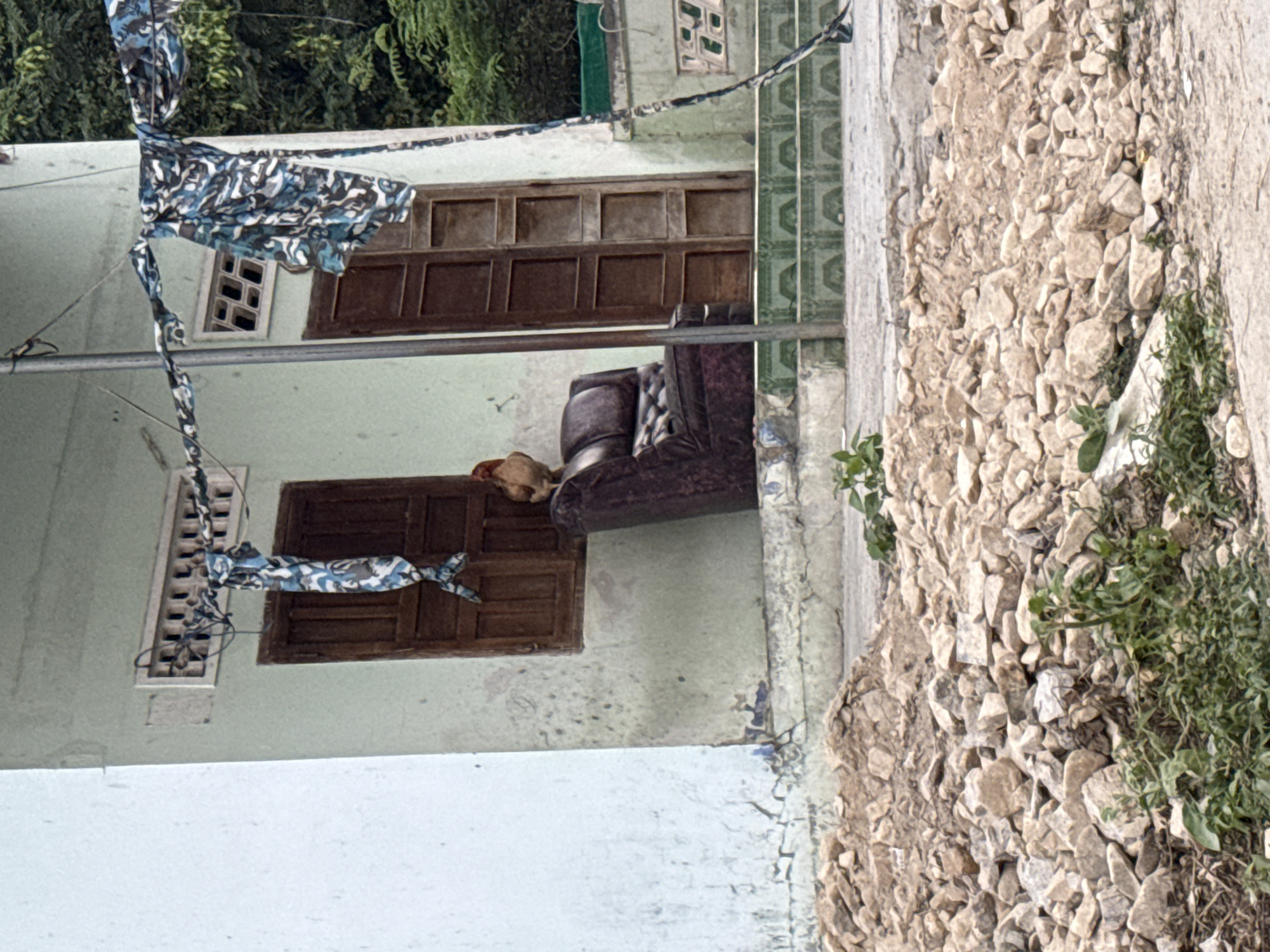 A daytime outdoor shot in the Bac Natural Heritage Area Trang, Vietnam, reveals a dilapidated building with a mottled, pale green exterior. A weathered brown wooden window is partially obscured by a chicken perched on a brown leather sofa placed near the window's exterior. Laundry hangs limply from a line strung across the building's facade, close to another window with a grid-like design. The ground is covered in a pile of stones and overgrown with weeds. The angle of the photograph is off-center, causing the scene to appear tilted. The backdrop includes foliage from trees, suggesting a natural setting encroaching on the built environment. The scene conveys a sense of decay and rural simplicity.