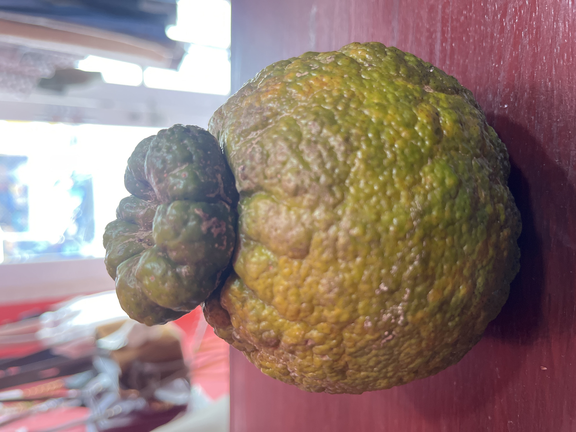 An overhead view shows a rough-skinned, lumpy, green and yellow citrus fruit, possibly an unripe orange or a pomelo, resting on a dark red, wooden surface. A smaller, similarly textured green fruit is perched on top of the larger fruit. The background is out of focus, showing a brightly lit room with what appears to be clothing hanging on the left and a doorway or window on the right. The scene appears to be indoors, likely in a domestic setting. There is no indication of a specific location within Luwuk, Indonesia, or any people present.