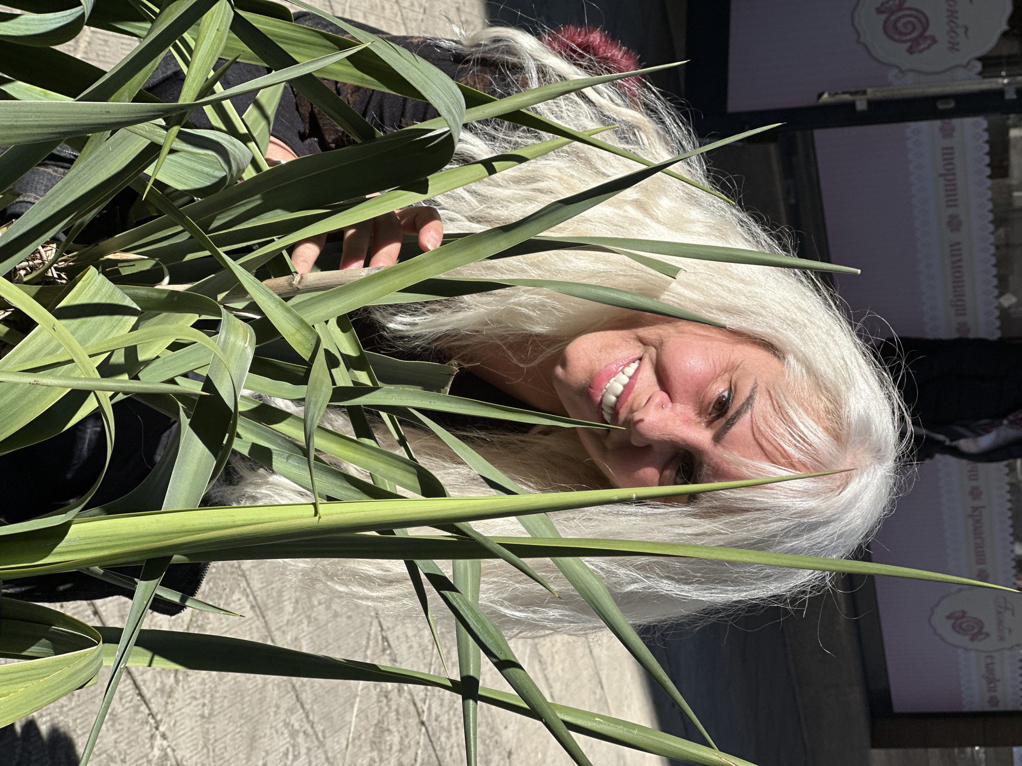 A woman with fair skin, dark eyebrows, and white hair smiles at the camera from behind a dense arrangement of green, bladed plants. Her right hand is visible holding one of the plant stems. The background shows a glimpse of a storefront in Sofia, Bulgaria. Text in Cyrillic script is visible on a pink-toned sign, including the word "сладкиши" (sladkishi), which means "sweets." A dark-colored garment is partially visible on the left side of the frame. The ground is concrete.