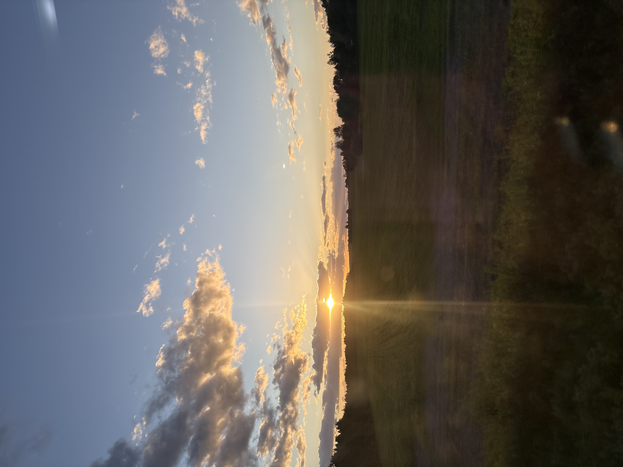 The image captures a sunset scene in Мажэйкаўскі сельскі Савет, Belarus. The sun is positioned at the horizon, radiating light across a field. Part of the field is green, while a small section is brown and appears to be a dirt path. Above the field and horizon, the sky is blue with clouds illuminated by the setting sun. A line of trees is positioned between the field and the sun.