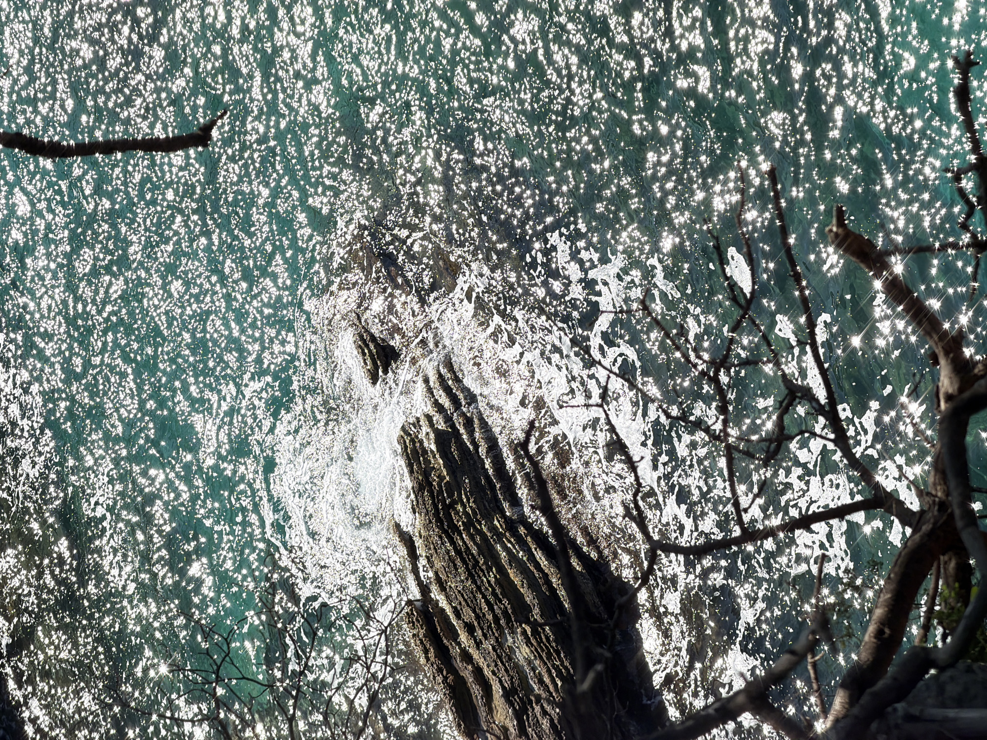 An aerial shot overlooking the Adriatic Sea in Petrovac centar, Montenegro, features a rugged rock formation surrounded by shimmering turquoise water. Sunlight reflects off the water's surface, creating a sparkling effect. Bare tree branches frame the right and lower portions of the image, and a lone branch is seen in the top left. Waves crash against the rock, evidenced by white foam and splashes.