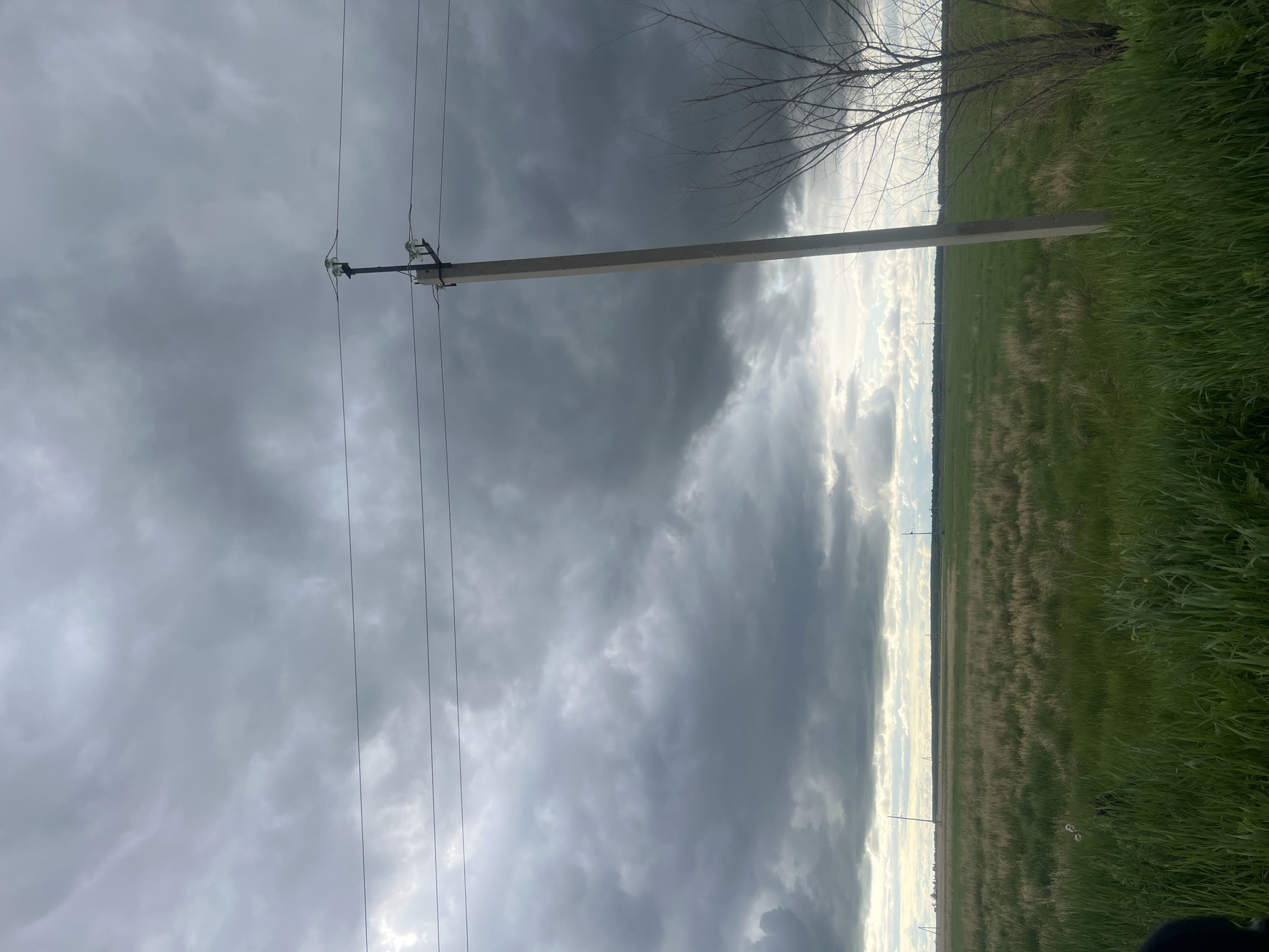 The image displays an expansive, flat rural landscape under a heavily overcast sky in the city of Unknown, Unknown. Dark grey and lighter grey stratocumulus clouds dominate the upper two-thirds of the frame, with a faint lighter band visible at the horizon. A concrete utility pole stands prominently in the mid-ground, slightly right of center, supporting multiple dark power lines strung horizontally across the upper portion of the scene. Two sets of clear glass or ceramic insulators are visible on the pole. The ground consists of a vast, open field, predominantly covered in vibrant green grass in the foreground and mid-ground, interspersed with patches of lighter, drier grass. In the far distance, the field meets a dark horizontal line, suggesting a distant tree line or forest. Additional, smaller utility poles are faintly visible further into the field towards the horizon. To the immediate right of the main utility pole, a bare, deciduous bush or small tree with dark, thin branches reaches upwards. No individuals or animals are visible.