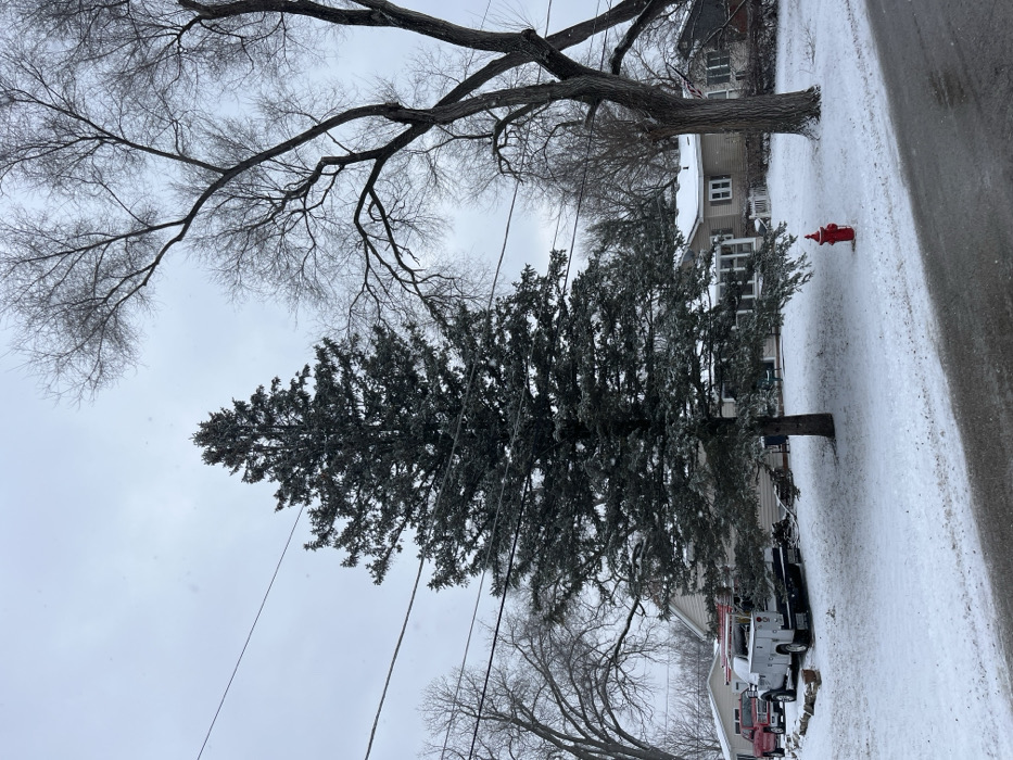 This media file depicts a tranquil winter scene on a residential street in Fox Lake, United States of America. The image, taken during daytime under an overcast, light grey sky, shows the ground blanketed in snow and ice, indicating cold weather conditions.
The scene is dominated by two large trees. On the left, a deciduous tree stands with its bare, intricate branches reaching upwards, while to its right, a dense evergreen tree appears heavily laden with snow or frost on its dark needles. Power lines are visible, crisscrossing the upper portion of the frame, strung across the sky and through the tree branches.
The street, dark asphalt with visible icy patches, runs along the right side of the image, bordered by a snow-covered verge and front yards. A bright red fire hydrant provides a stark splash of color against the white snow, situated to the right of the evergreen tree. In the background, several residential houses are visible, nestled among the trees. One lighter-colored house with dark window frames and a dark roof is particularly noticeable behind the evergreen tree. On the right side of the road, a white utility pickup truck with a specialized bed is parked, partially obscured by the evergreen. No discernible text is visible on any objects in the scene. The overall impression is one of a quiet, frosty winter day in a suburban or small-town environment.