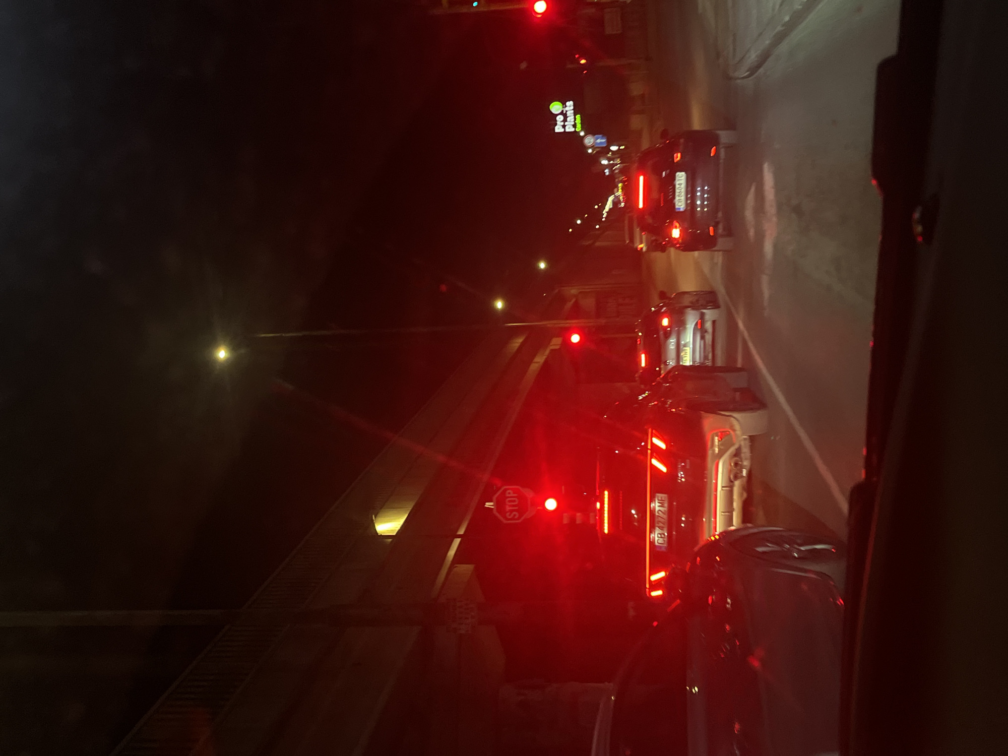 The image shows a night scene of traffic in Sofia, Bulgaria. Several cars are stopped at a red light under a bridge. A stop sign is visible. The license plate "CB 4772 ME" is visible on one of the cars. A "Pro Plants" sign is visible in the distance. The image appears to be taken from the inside of a vehicle.