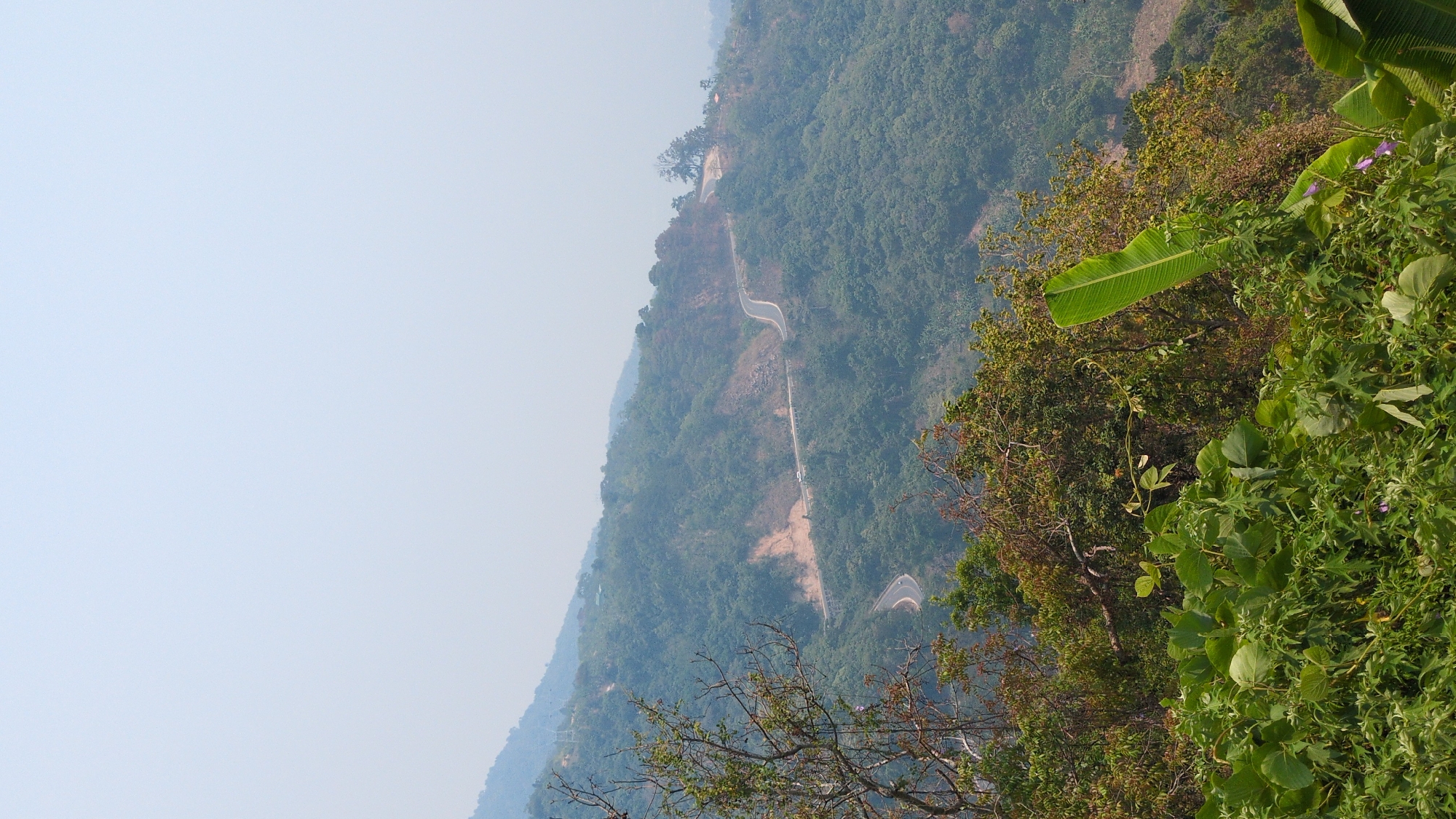 A landscape view of a winding road cutting through a heavily forested hillside near Lâm Sơn, Vietnam. The road ascends steeply, with bends visible against the backdrop of the lush green trees. The vegetation in the foreground is dense, with banana leaves. The sky is lightly clouded.