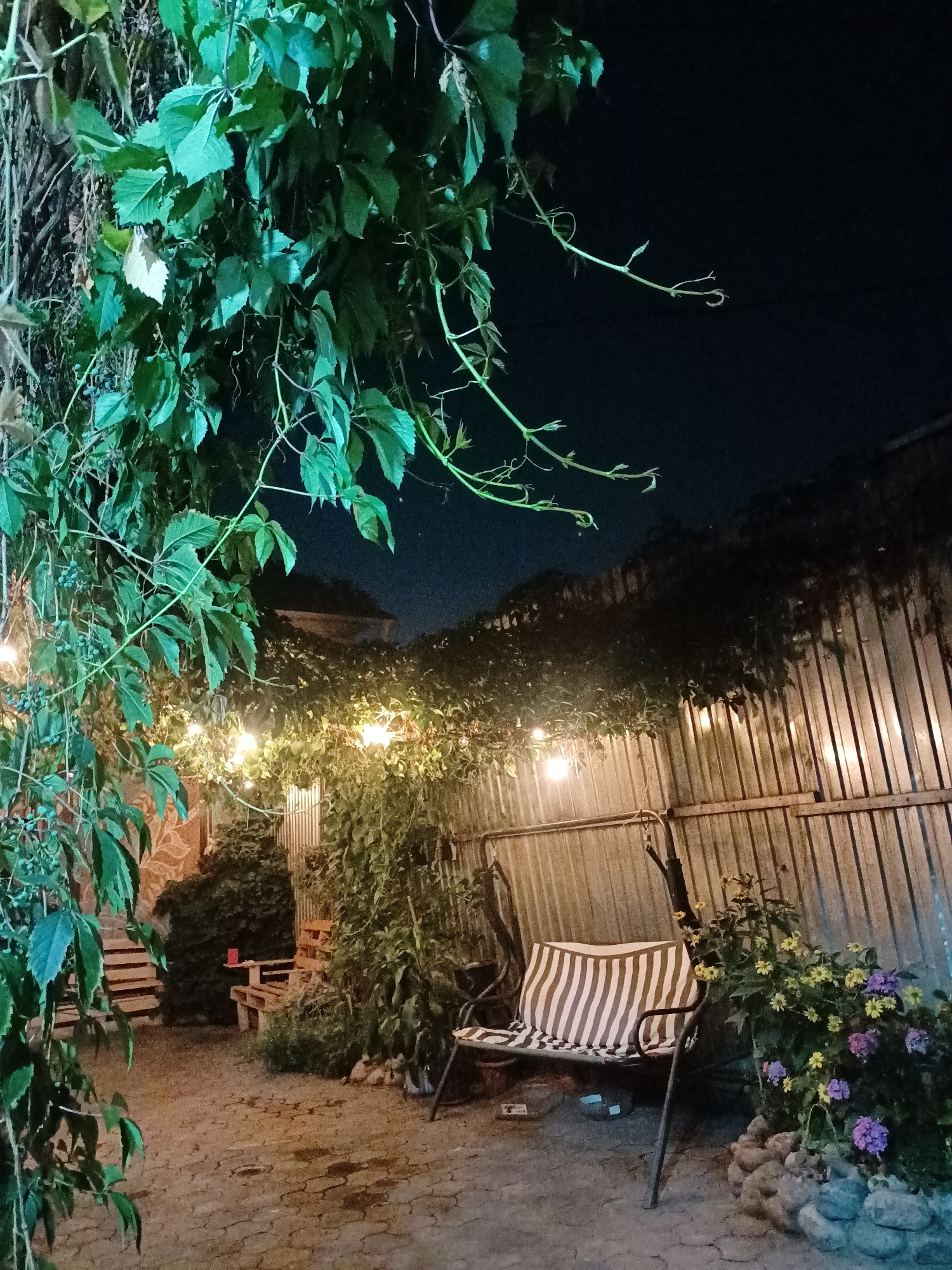The image depicts a dimly lit outdoor courtyard at night. In the foreground, lush green vines with heart-shaped leaves hang from above, creating a canopy. Beneath the vines, a striped cushion rests on a metal swing seat, which is positioned near a patch of colorful flowers, including small yellow and purple blooms. Behind the swing, a corrugated metal fence runs horizontally across the background. String lights with visible bulbs are draped above the fence and among the foliage, casting a warm glow on the scene. The ground is paved with interlocking stones that appear wet in places. To the left, wooden pallets are stacked, resembling makeshift seating or steps. In the distance, a building with a dark roof is visible through the trees. The overall atmosphere is tranquil and somewhat bohemian. The location is Almaty, Kazakhstan.