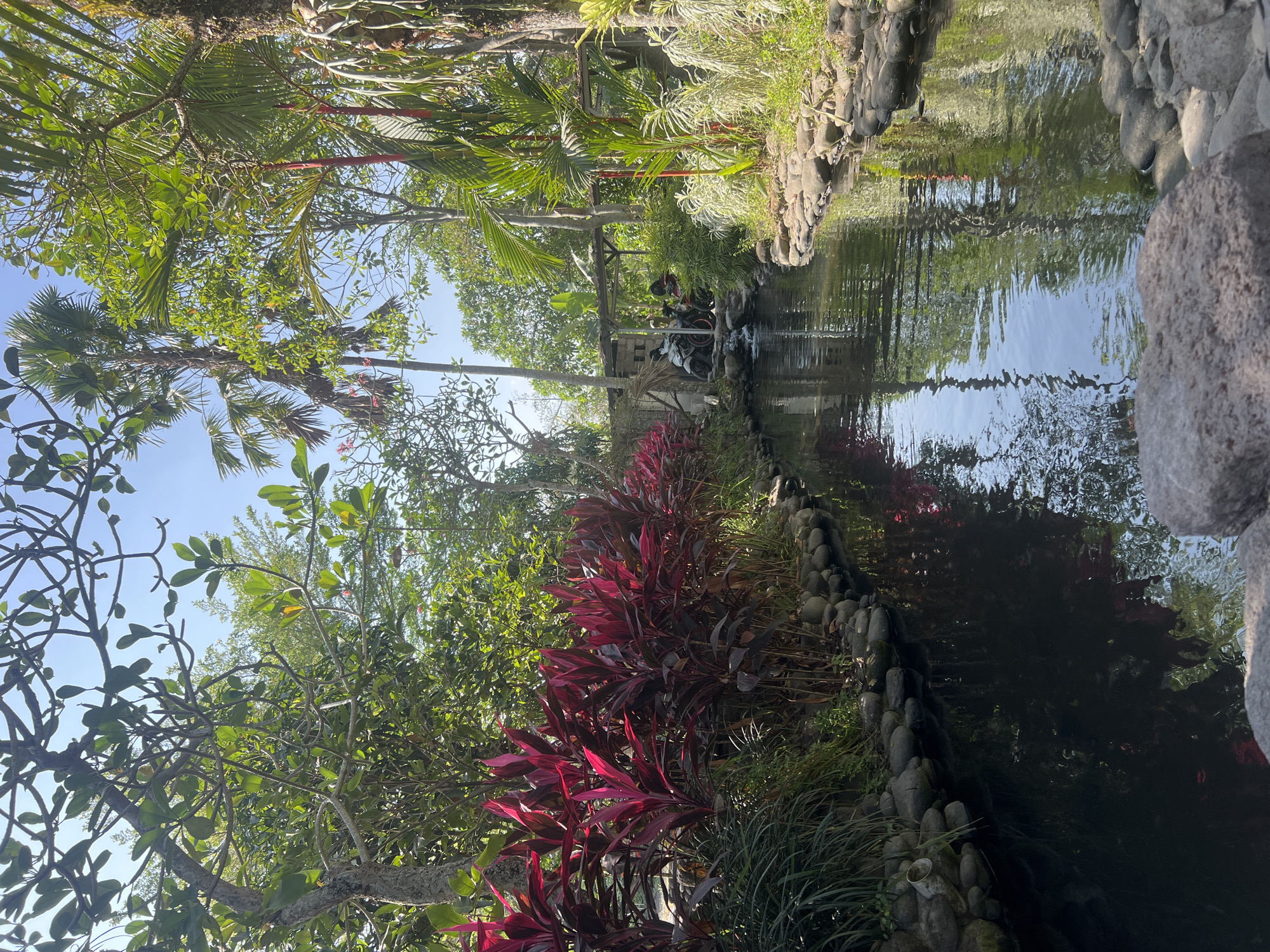 This is an eye-level, medium shot capturing a tranquil stream flowing through a lush, tropical garden in Tlogoadi, Indonesia. The stream, with its dark, reflective water, is bordered by smooth river stones and an array of vibrant green and deep red foliage. On the left bank, striking red ti plant leaves contrast with the verdant green of other plants. On the right, more greenery and rocks line the bank. In the background, a small structure with a covered roof is visible, where two motorcycles are parked. A few people are seated or standing near the motorcycles. Trees with diverse leaf shapes and palm fronds create a dense canopy overhead, with the clear blue sky peeking through the branches. The scene evokes a sense of natural beauty and a relaxed atmosphere.