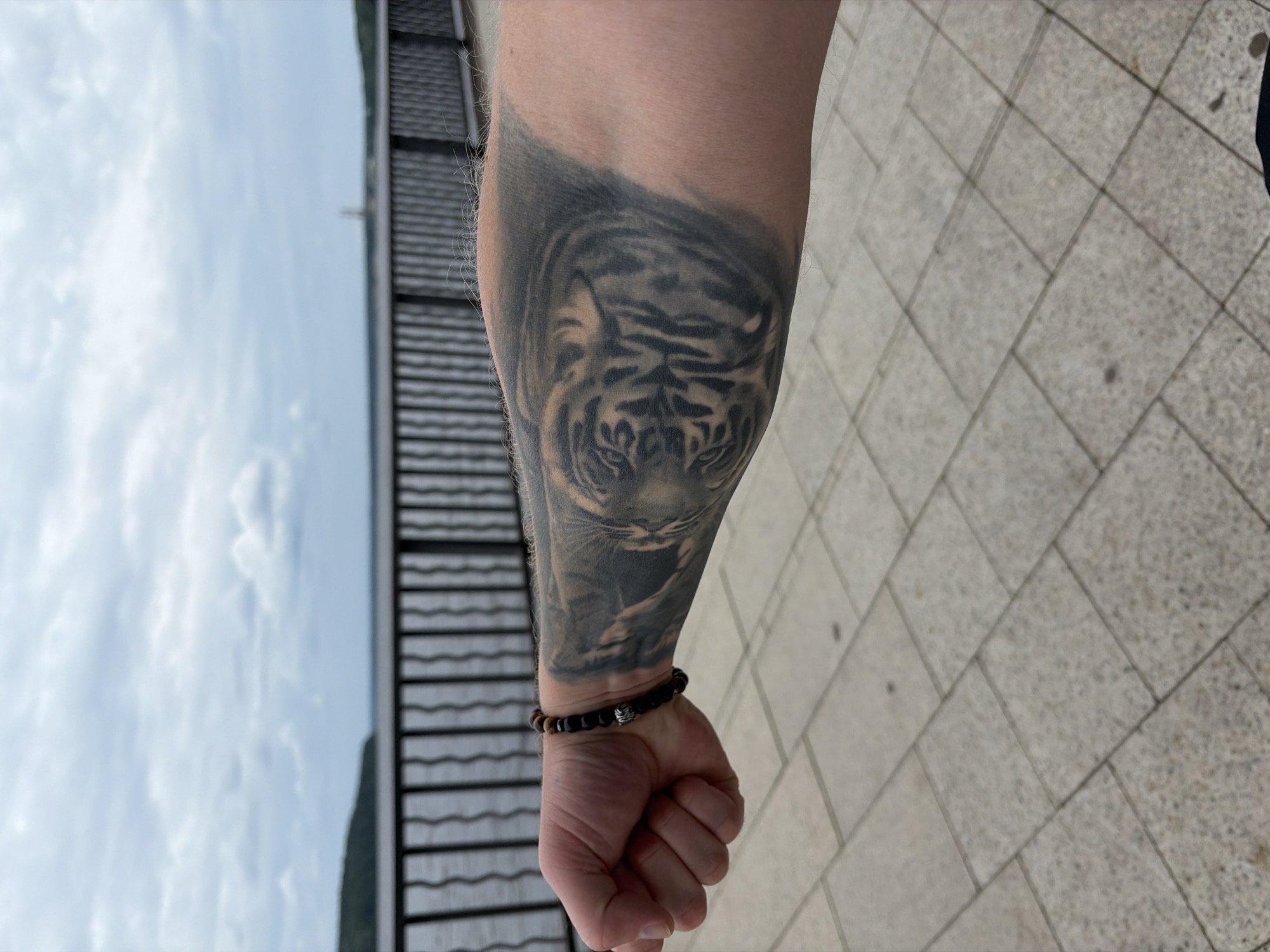 This media file shows a close-up of a person's forearm with a tattoo of a tiger's face. The tattoo is rendered in black and grey, with intricate detailing on the tiger's stripes and facial features. The tiger appears to be looking forward, with a determined expression. A dark beaded bracelet with a metallic accent is visible on the person's wrist, just below the tattoo.
The person's arm is positioned in front of a background that includes a grey tiled walkway and a dark, slatted structure, possibly a fence or railing. The sky is visible in the upper left portion of the image, appearing cloudy and bright, suggesting daylight. The overall lighting and the nature of the background suggest an outdoor setting, possibly a public space like a park or promenade. The image is oriented vertically, and the focus is clearly on the tattooed arm. There is no visible text in the media file. The setting in Chaikovsky, Russia is provided as context but is not directly discernible from the visual elements of the image itself.