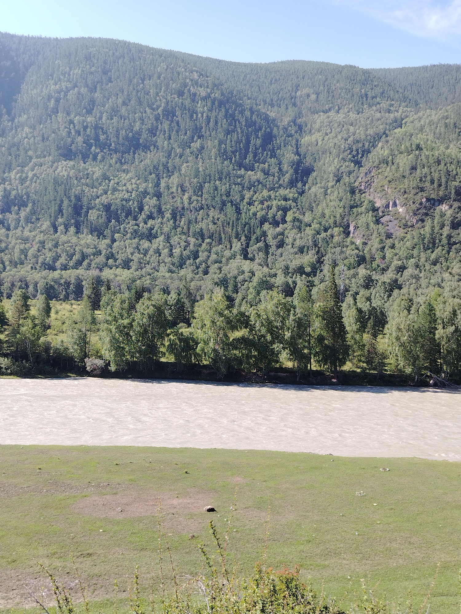 The image shows a wide, muddy river flowing from left to right in the foreground. The riverbank on the near side is a grassy slope, with some scattered small plants and patches of bare earth. The far bank of the river is lined with a dense forest of green trees. Behind the trees, a steep, tree-covered mountain rises to meet a clear blue sky. The overall scene depicts a natural landscape, likely in a mountainous region. The image does not contain any explicit information about the city of Iodro, Russia, or any specific details about people or actions.