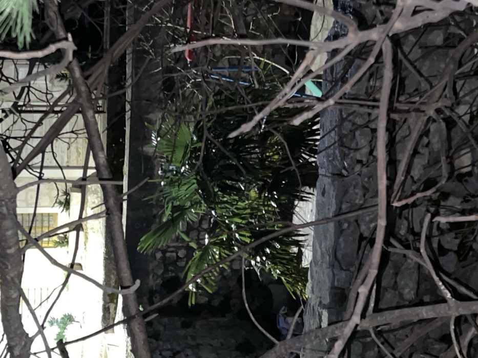 The image presents a nocturnal outdoor scene in Bogdašići, Montenegro, viewed through a dense network of dark, leafless tree branches. A prominently illuminated, vibrant green palm tree with broad fronds is situated in the midground, behind a lower stone wall constructed from irregularly shaped blocks. To the right of the palm tree, partially visible behind the same wall, are elements of a children's playset, identifiable by blue and red structural components, consistent with a slide. Above the lower stone wall, an elevated light-colored terrace or paved area supports several small potted plants. In the upper background, a building of light-colored material, possibly stone or stucco, features a rectangular window emitting a distinct yellowish glow, indicating interior artificial illumination. The environment is characterized by stone architecture, varied vegetation, and strong contrasts between artificially lit and deeply shadowed areas. No human or animal subjects are visible, nor are any active interactions depicted.