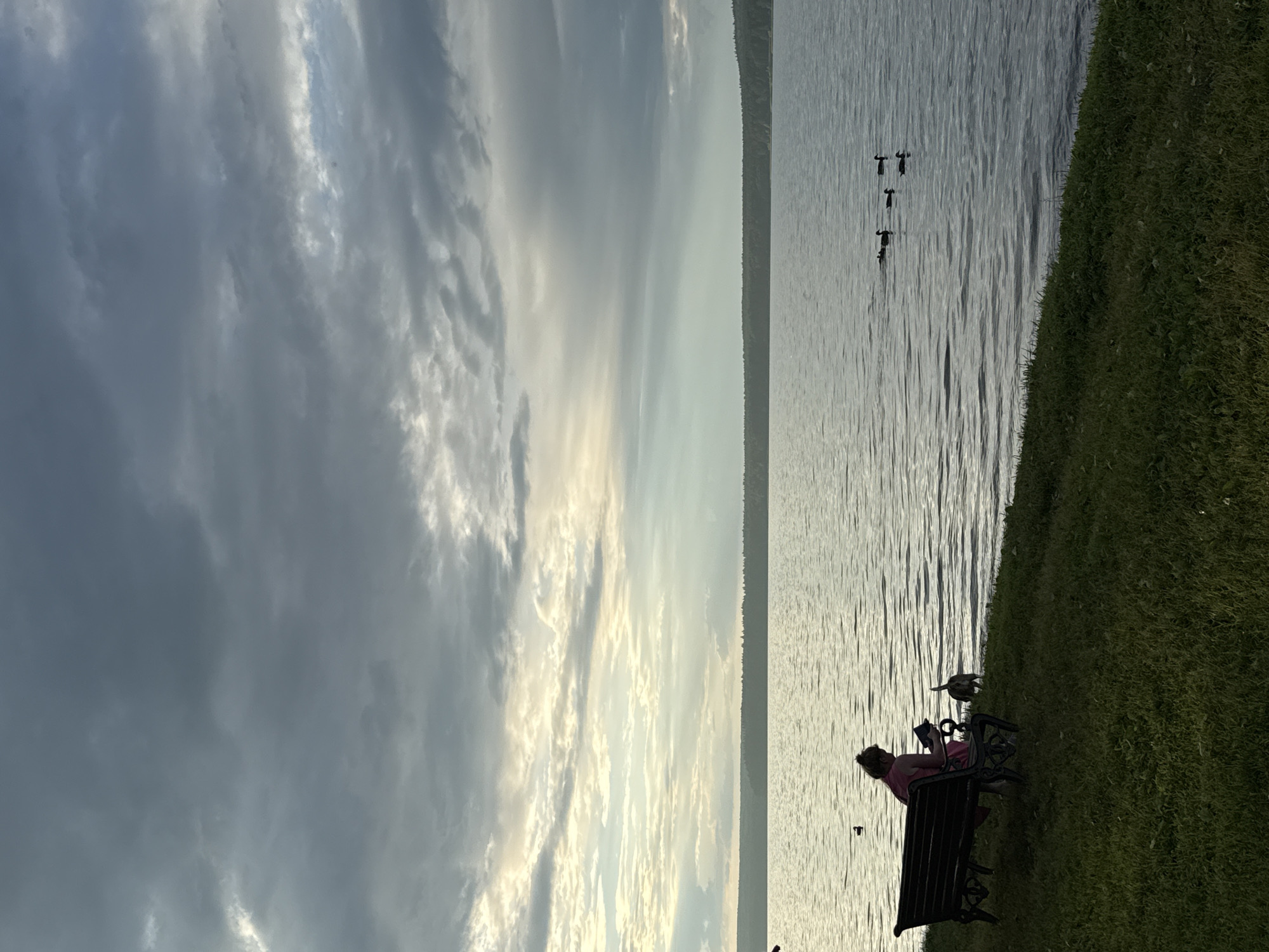 The image depicts a serene lakeside scene, possibly in the city of Votkinsk, Russia, under a dramatic, cloudy sky. In the foreground, a woman wearing a pink dress sits on a dark-colored park bench, engrossed in reading a book. A small, brown dog stands beside her, facing the water. The bench is positioned on a grassy incline overlooking a calm body of water. A line of trees forms the distant shoreline, with a hazy horizon. Several ducks are scattered across the water's surface, appearing as dark silhouettes against the rippling water. The light suggests either early morning or late evening, with rays of sunlight breaking through the clouds in the upper left portion of the frame.