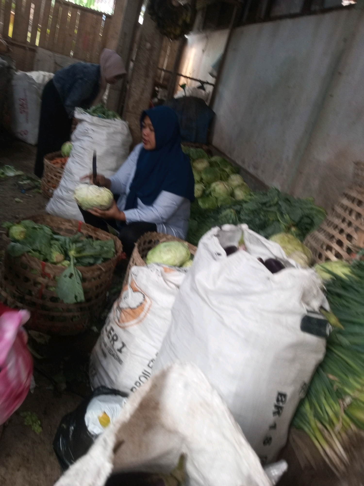 In Kalibeber, Indonesia, a woman wearing a blue hijab and gray shirt is seen in what appears to be a market stall or storage area. She is holding a cabbage and a knife, suggesting she might be preparing vegetables. Around her, there are large woven baskets filled with various green vegetables, possibly cabbage or leafy greens. Several large sacks, one white with black lettering reading "BR 1 S", are also present. To the left, another person, partially obscured, is wearing a light brown hijab and a dark jacket, also appearing to be involved in handling produce. The environment is dimly lit, with wooden structures and a concrete wall visible in the background. The overall scene depicts a moment of activity related to the selling or preparation of fresh produce.
