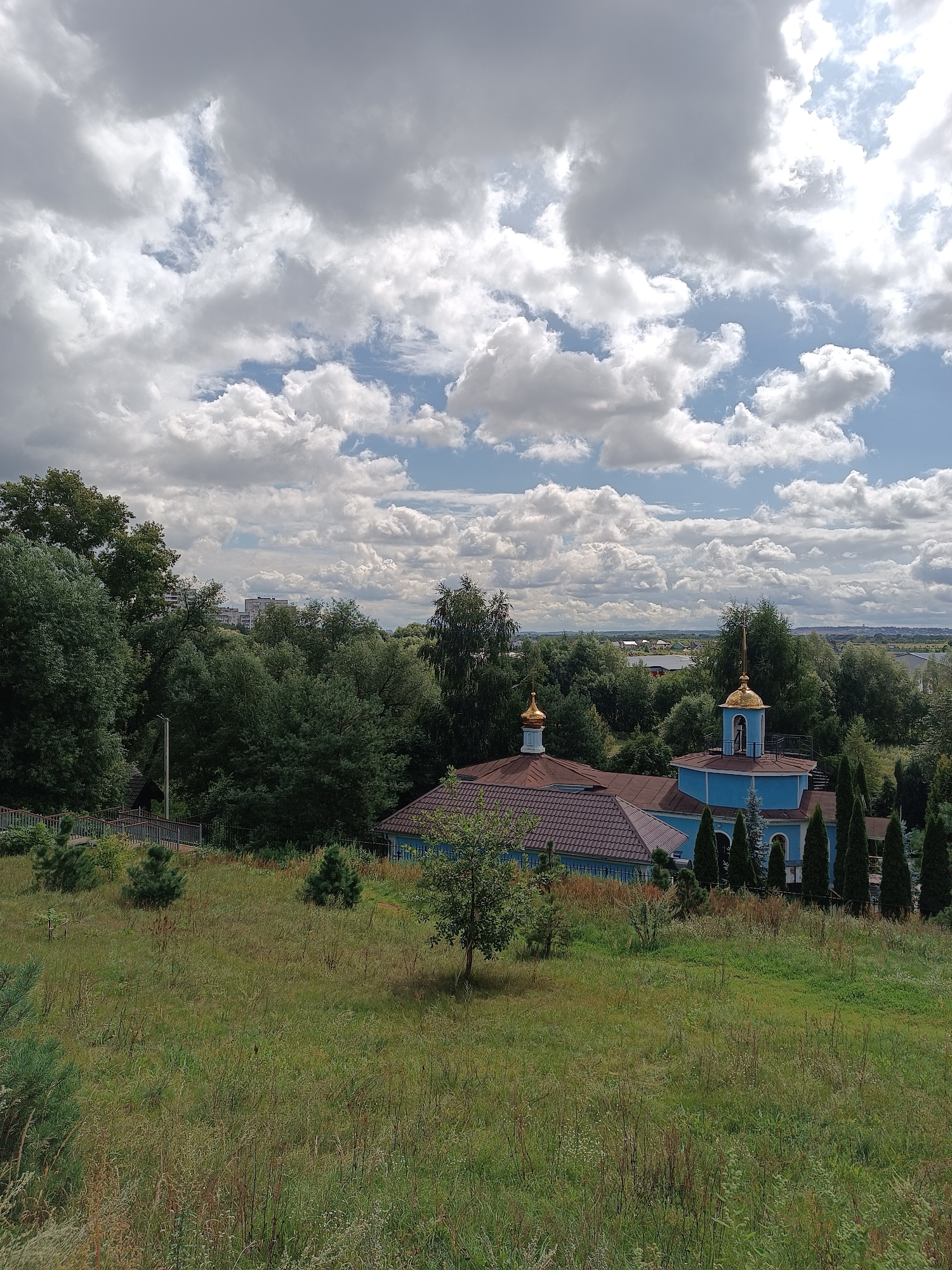 The image depicts a wide, outdoor view of a blue church with golden domes, set against a backdrop of lush green trees and a cloudy sky. The church appears to be the main subject, with its distinctive blue walls and gilded cupolas. The surrounding environment is dominated by dense foliage, suggesting a natural or park-like setting. In the background, distant buildings and a horizon line are visible, indicating the presence of a populated area, possibly the town of Bykovo, Russia, as suggested by the metadata. The foreground consists of a grassy field, adding to the overall pastoral feel of the scene. There are no people or animals visible in the image. The lighting suggests it is daytime, with sunlight filtering through the clouds.